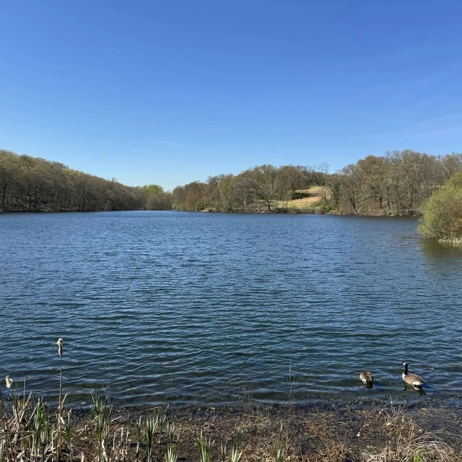 Rockefeller+Preserve.jpg