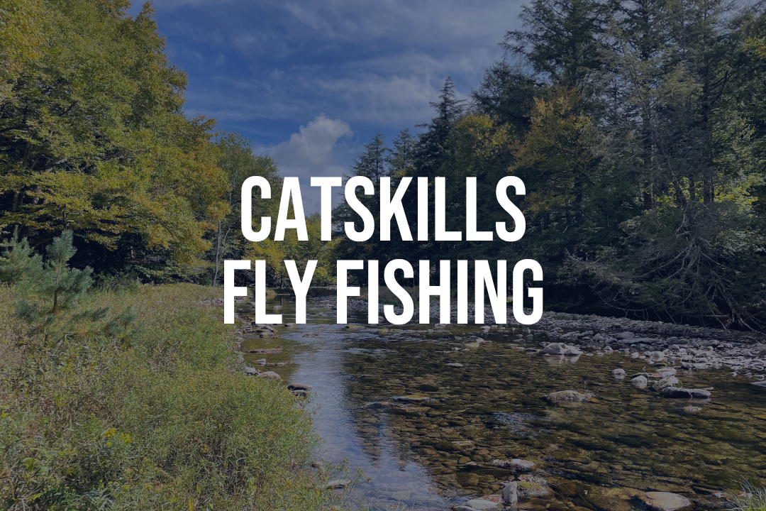 Catskills Fly Fishing