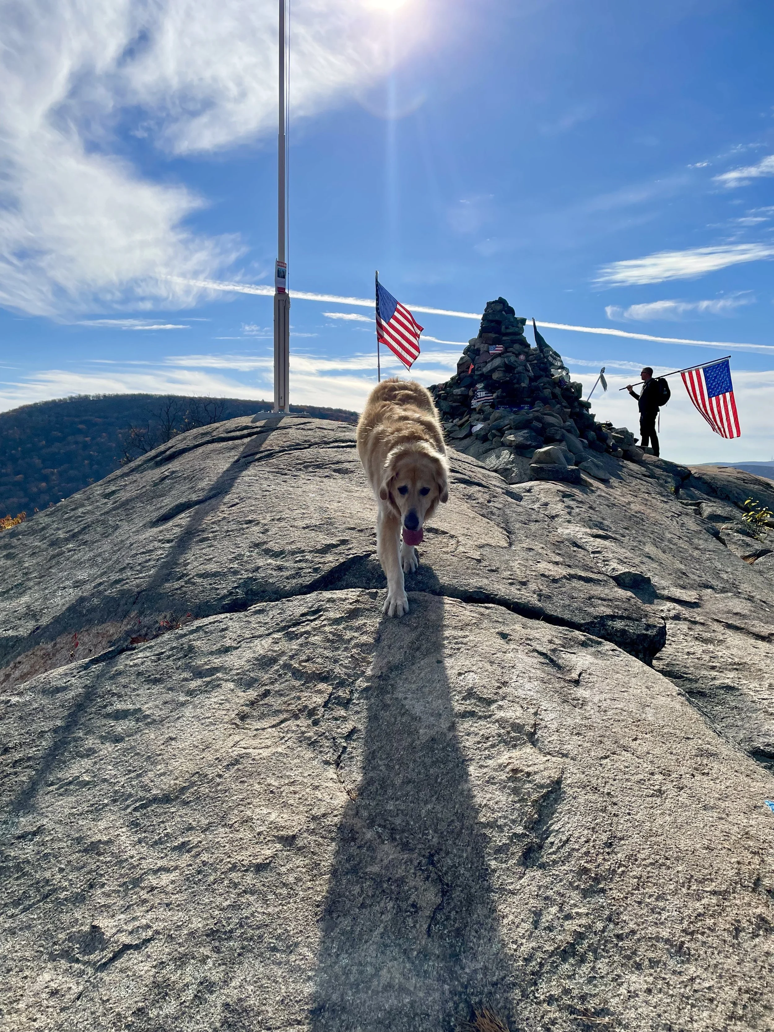 Guardian Revival Veterans Day Hike_11.15.23 Dog.jpeg