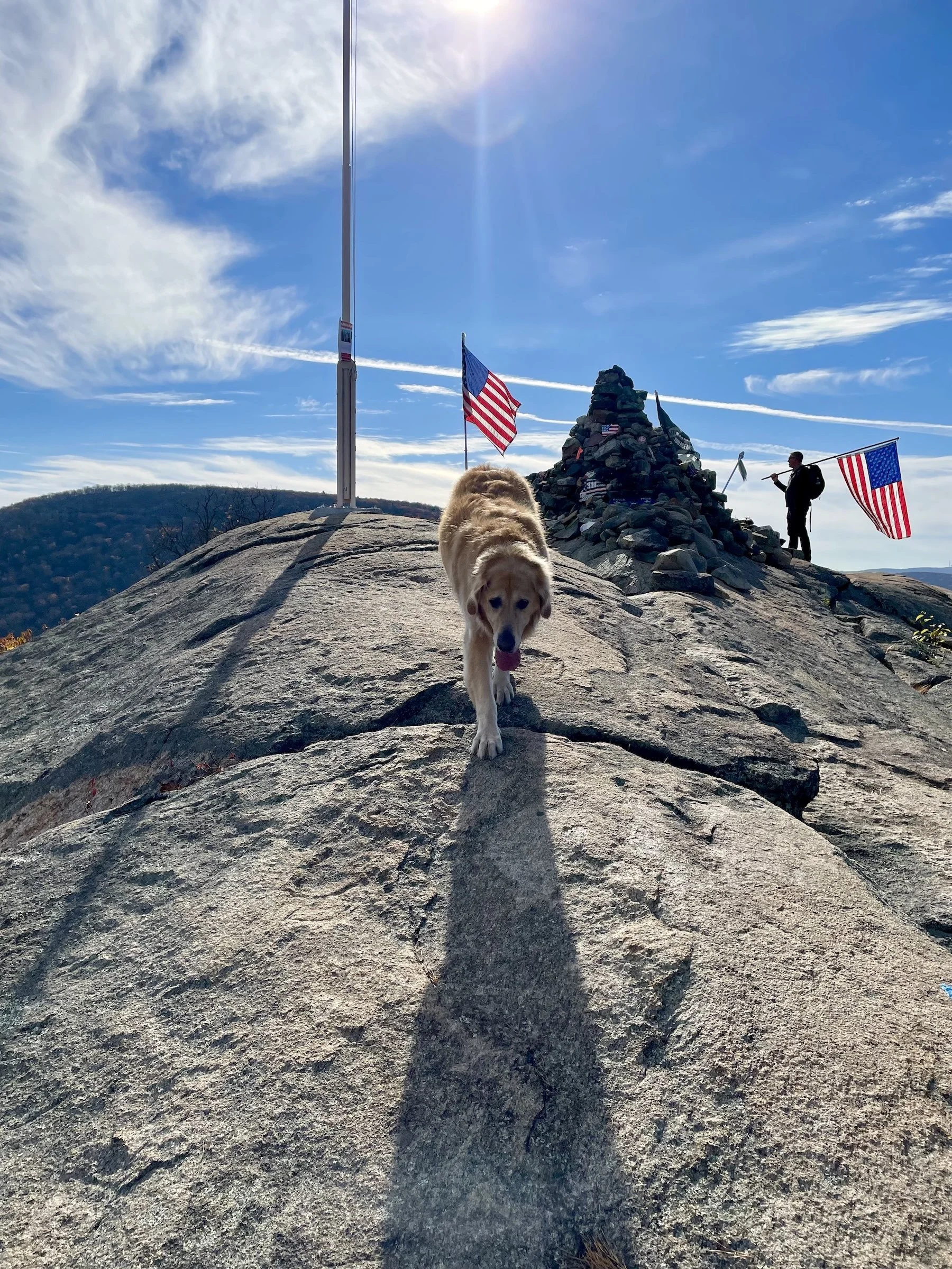 Guardian Revival Veterans Day Hike_11.15.23 Dog.jpeg