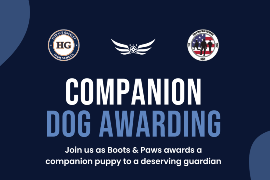 Companion Dog Awarding