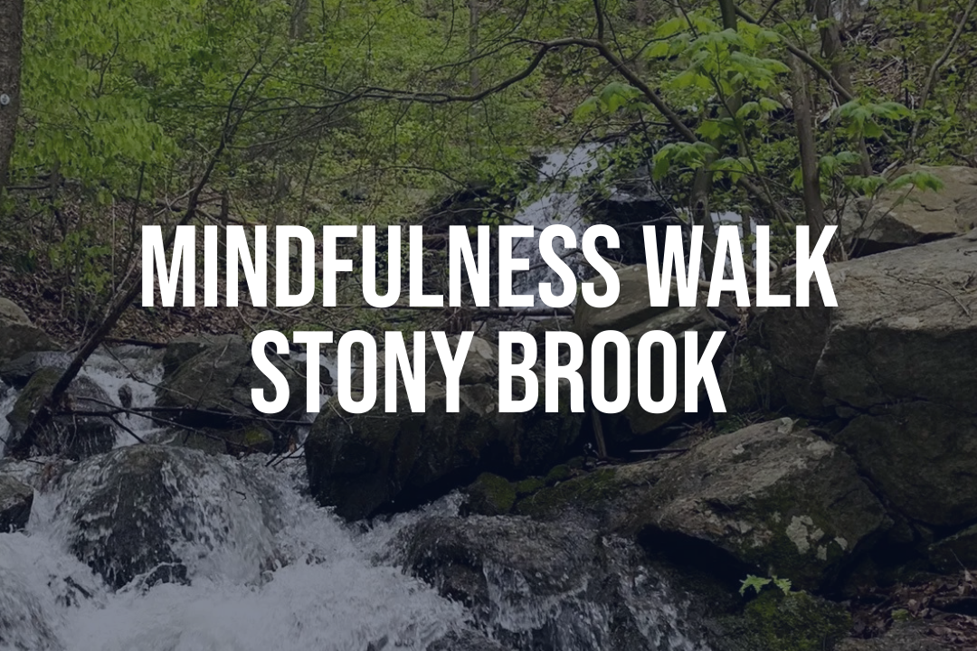 Mindfulness Walk | Stony Brook