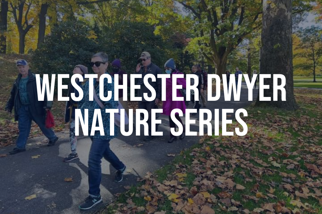 Westchester Dwyer Nature Series