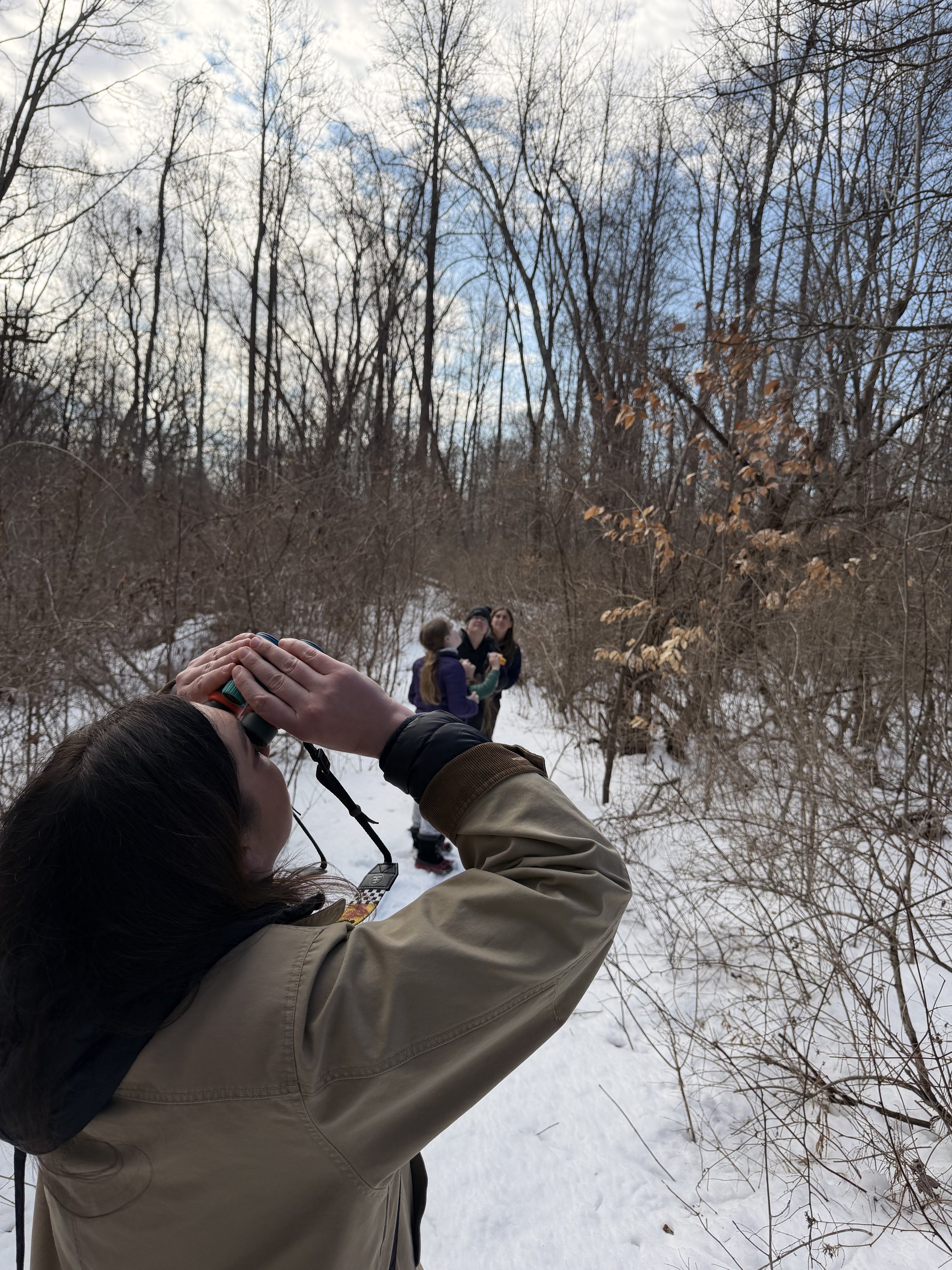 Enjoy birding in any season