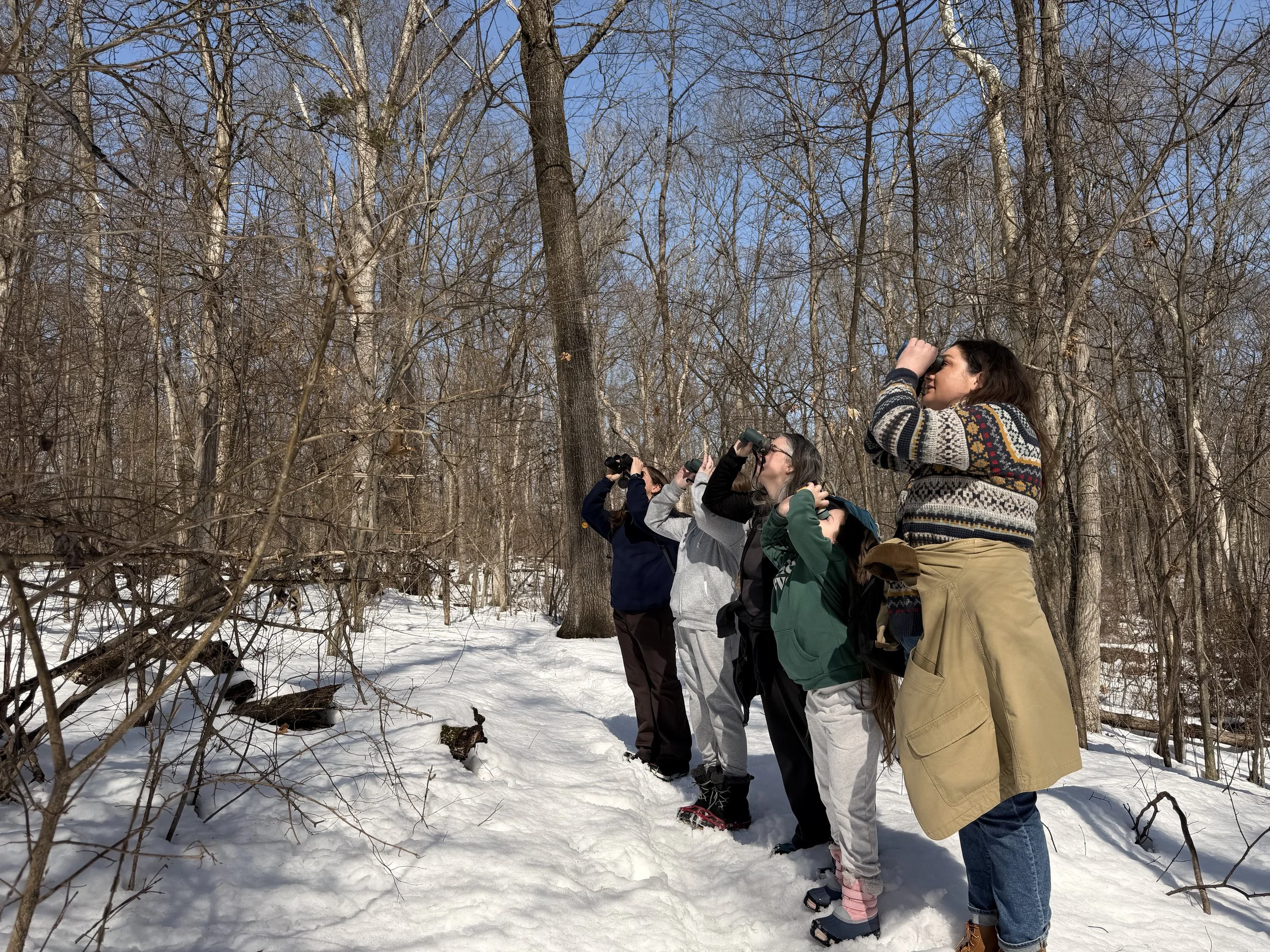 Winter birding with Another Summit