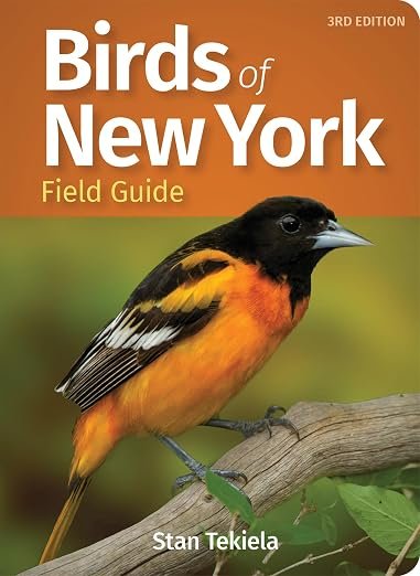 Bird Identification Guide