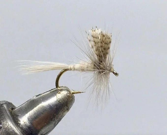 Light Hendrickson Dun Size 12.jpg