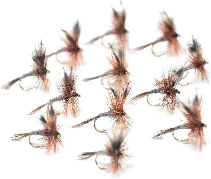 Every Season Trout Assortment Flies