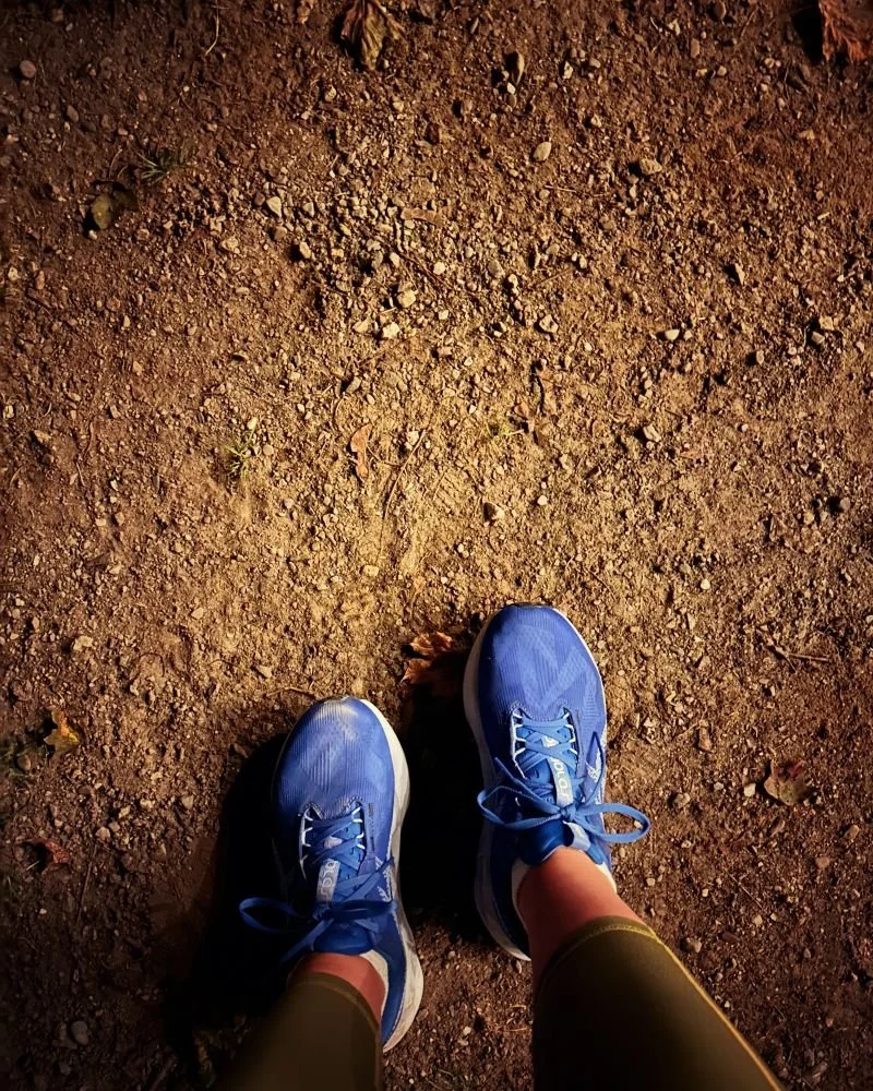 Kim OMC Walk 2025.jpeg