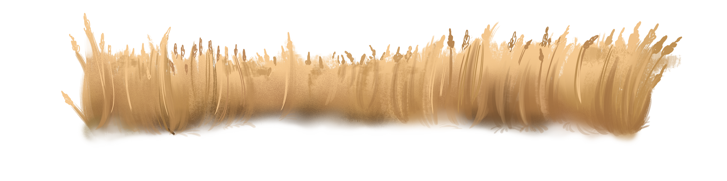 Wheat_BG 1.png