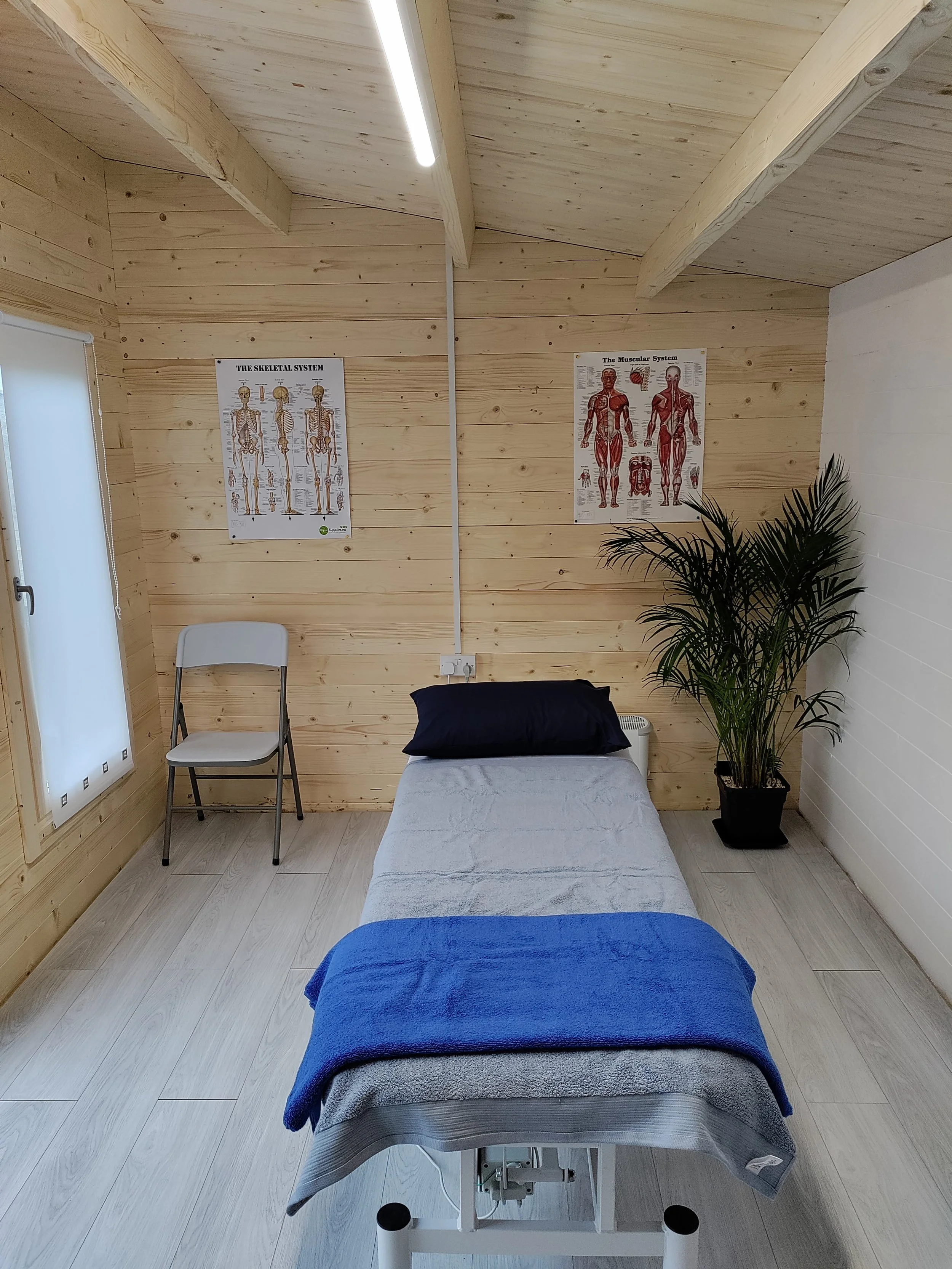 Massage therapy room with a wooden interior, featuring a treatment table with gray sheets and a blue towel. There is a chair and anatomical posters on the walls, along with a potted plant.