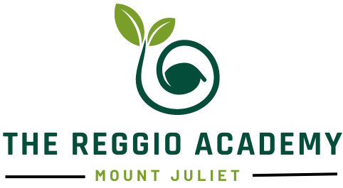 The Reggio Academy 