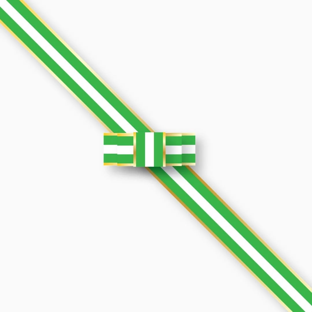 Naturvetenskapliga föreningen frackband