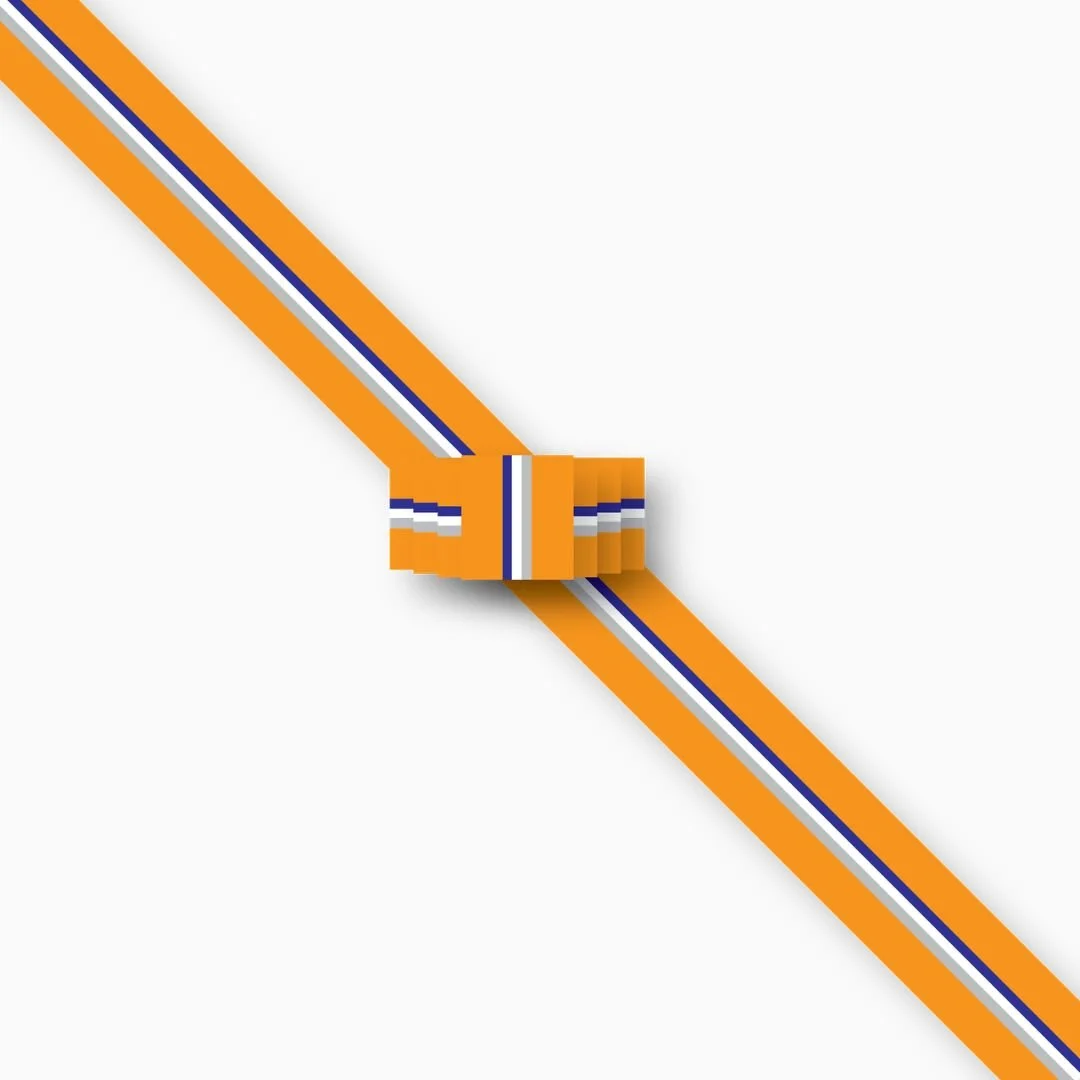 Fysiksektionen frackband