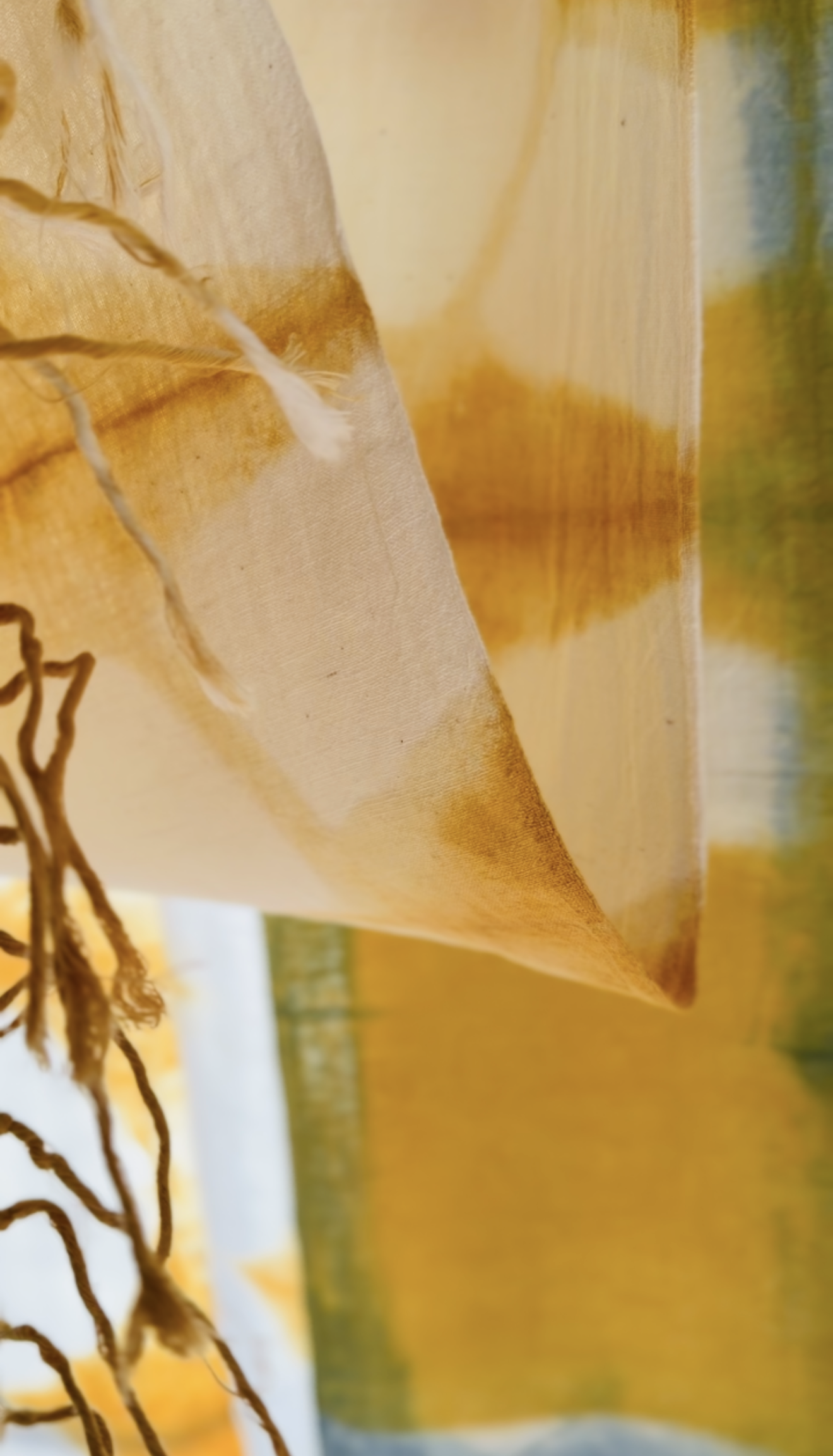 View recent photos 2.png