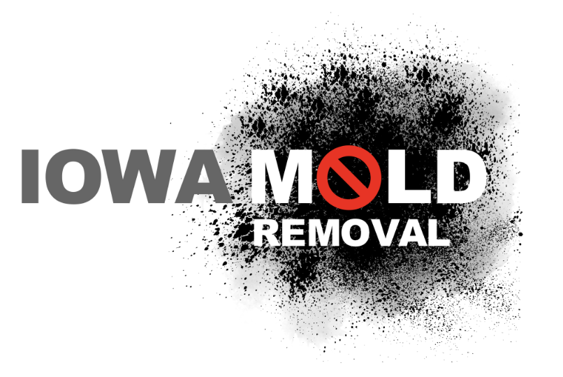 Iowa Mold Removal