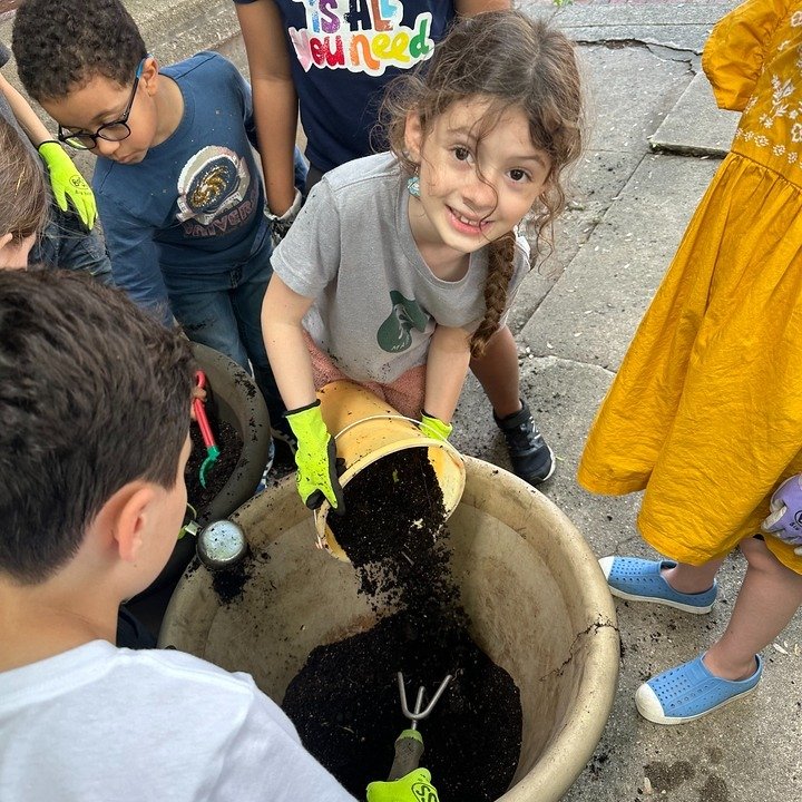 Having so much pride in their school our second-grade class got outside yesterday to fill 2 large flowerpots.

#secondgrade #maplewoodvillagenj #maplewoodnj #southorangevillage #southorangenj wkdschool.org @wkdschool