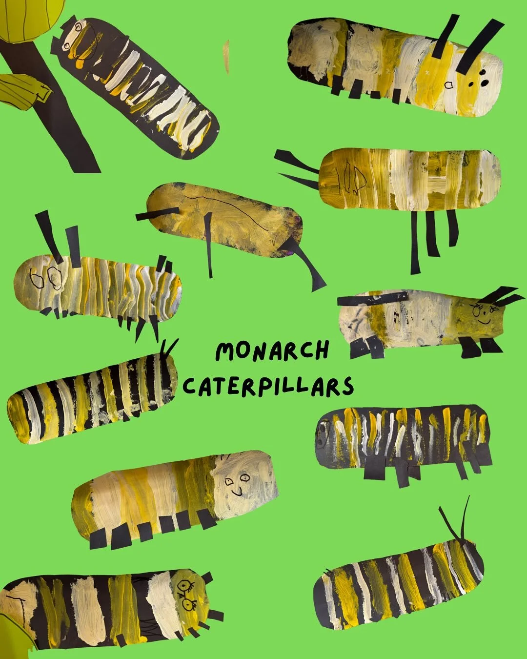 Last week, Marguerite&mdash;our amazing high school counselor&mdash;brought in a baby monarch caterpillar on a stalk of milkweed, and it instantly became our class pet (along with the two more we&rsquo;ve since adopted!). Meet Bluey, Cheddar Bunny, a