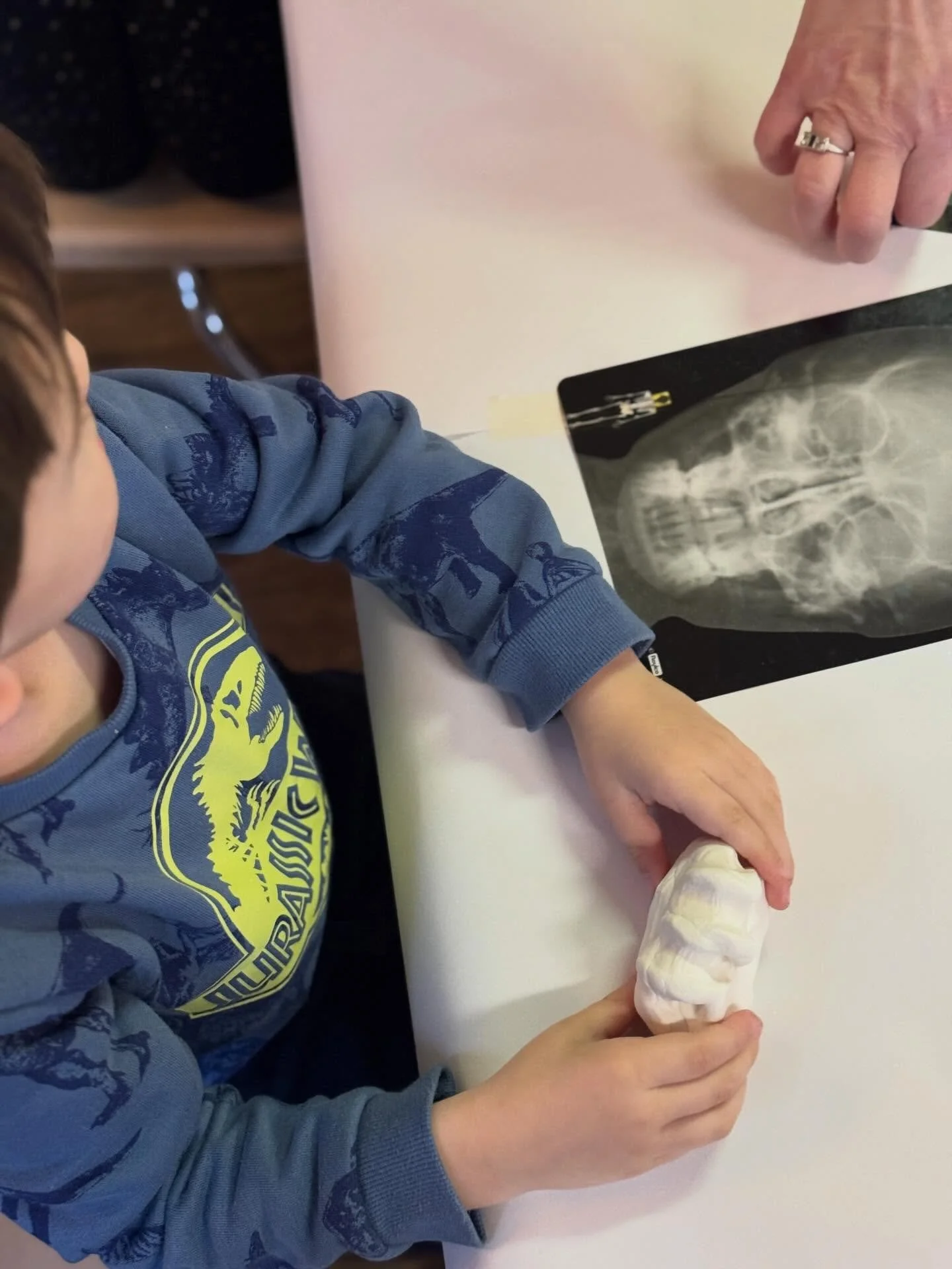 The Butterflies have been deep in a bones era. 🦴✨

First, we made our own bones from clay, thinking about what&rsquo;s inside us, what holds us up, and how our bodies are built. Then we got the real deal: a parent visit all about what happens when a