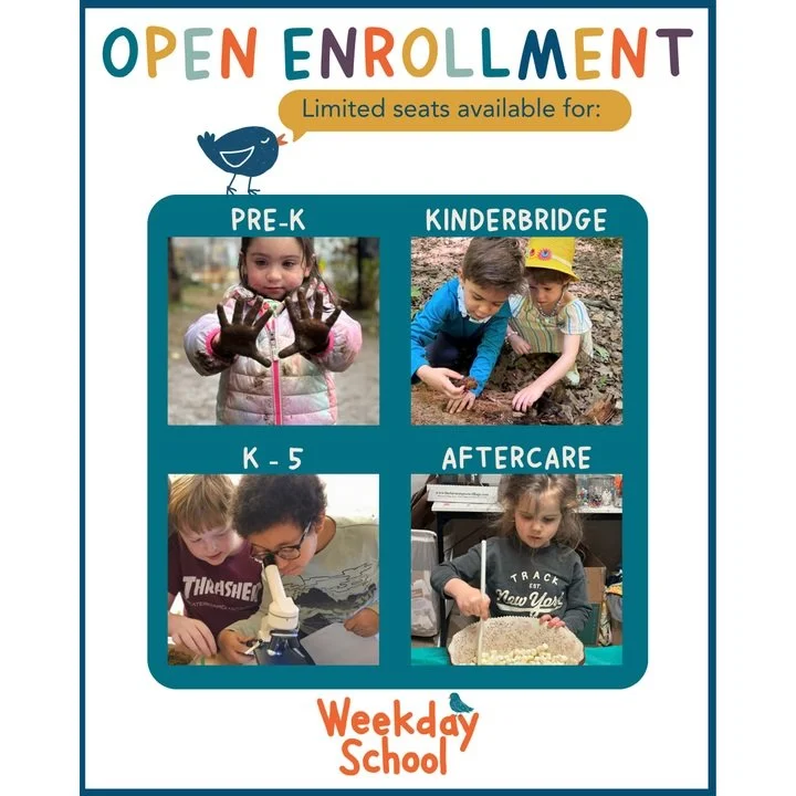 School will soon begin, and we are so excited to welcome back our new and returning families to Weekday.

Weekday School is an independent, progressive Pre-K through 5th grade school in South Orange. No rigid mold, just what emerges from a child's ow