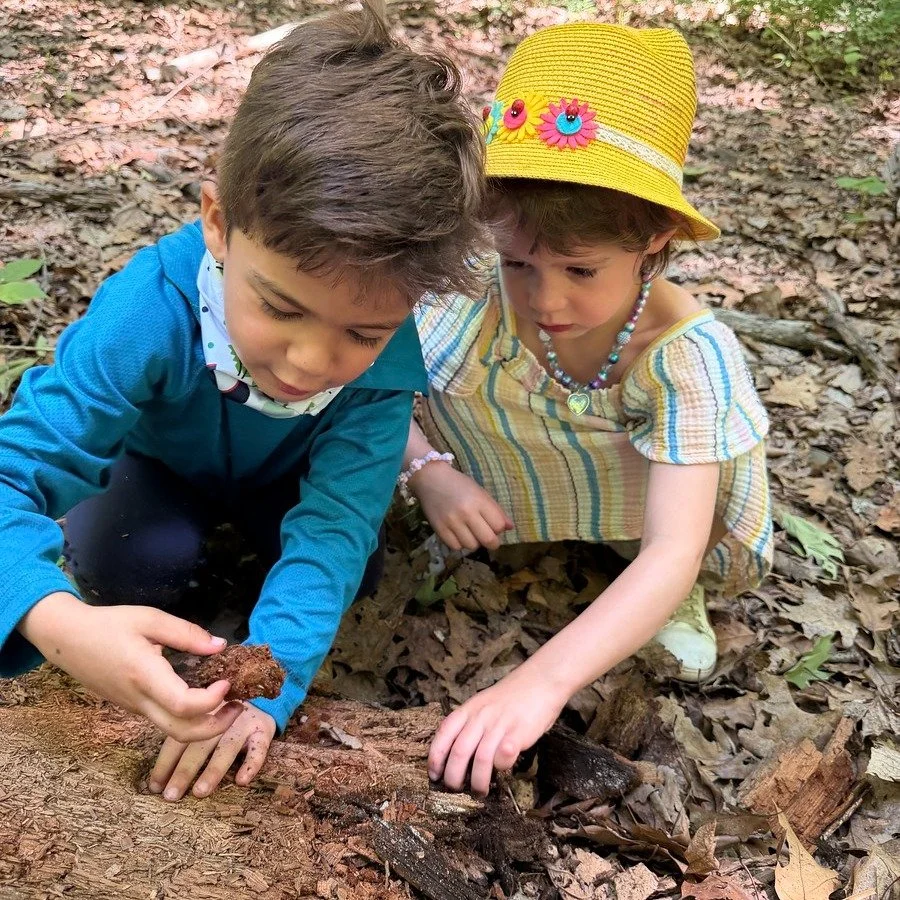 The best Forest School we've ever had. 
🌿

Binoculars in hand, hammocks strung between trees, art projects in the woods, long hikes, lunch eaten under the canopy. Teacher Kim led the day alongside our friends at Maplewood Outside School &mdash; 

Wh