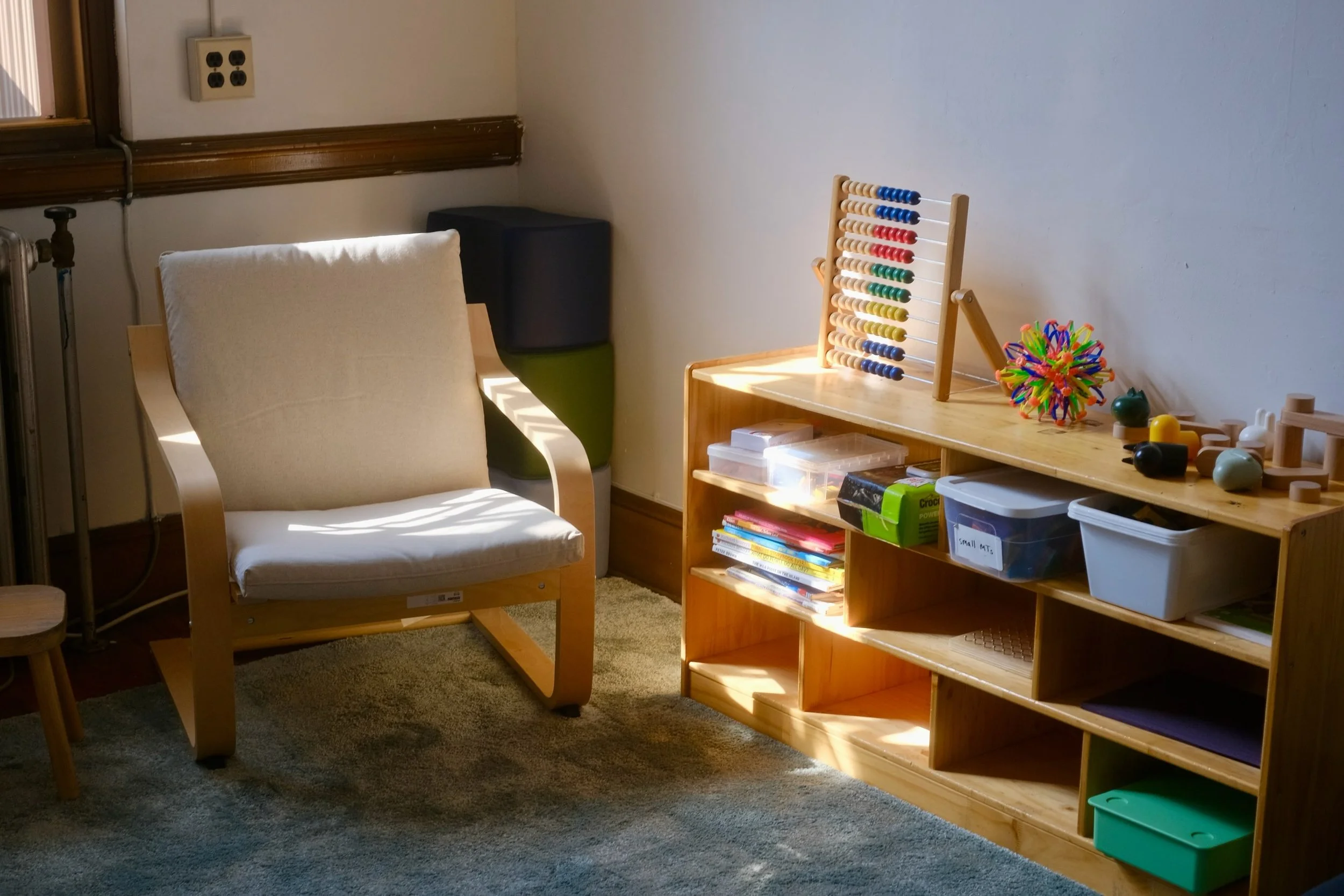 Our new therapeutic playspace, dubbed The Playroom, is almost complete, and our Student and Family Support Program has already begun to provide support! 

Through summer home visits, in-house social work services, and family programming, we offer tho
