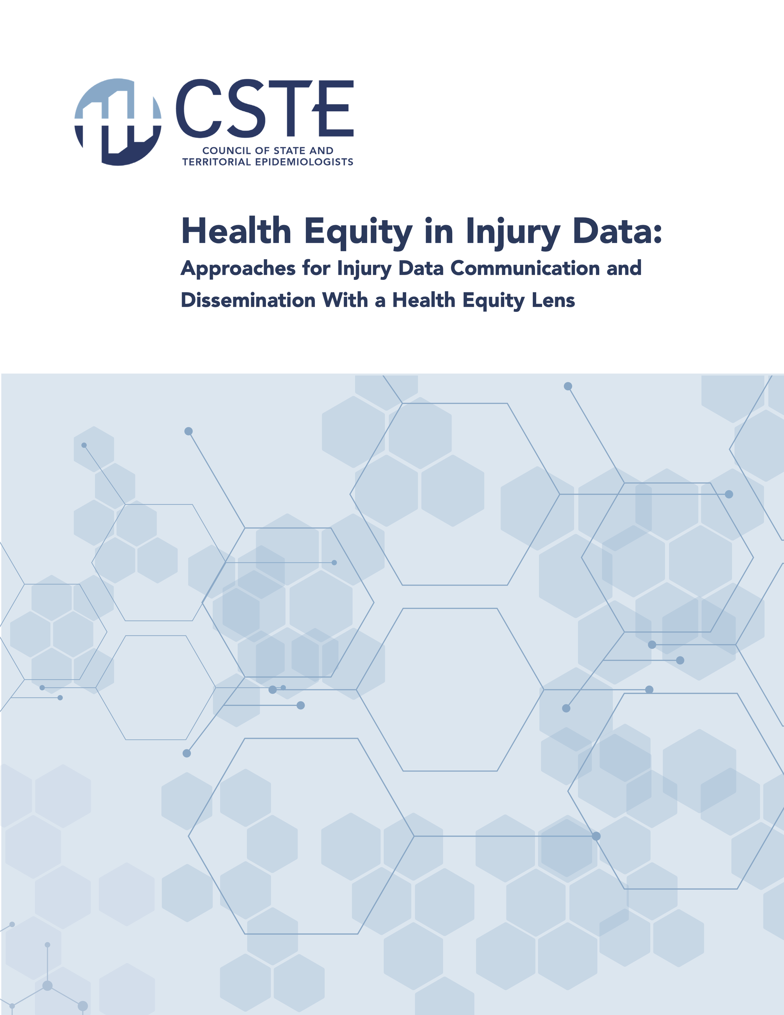Health Equity in Injury Data: Approaches for Injury Data Communication and Dissemination With a Health Equity Lens