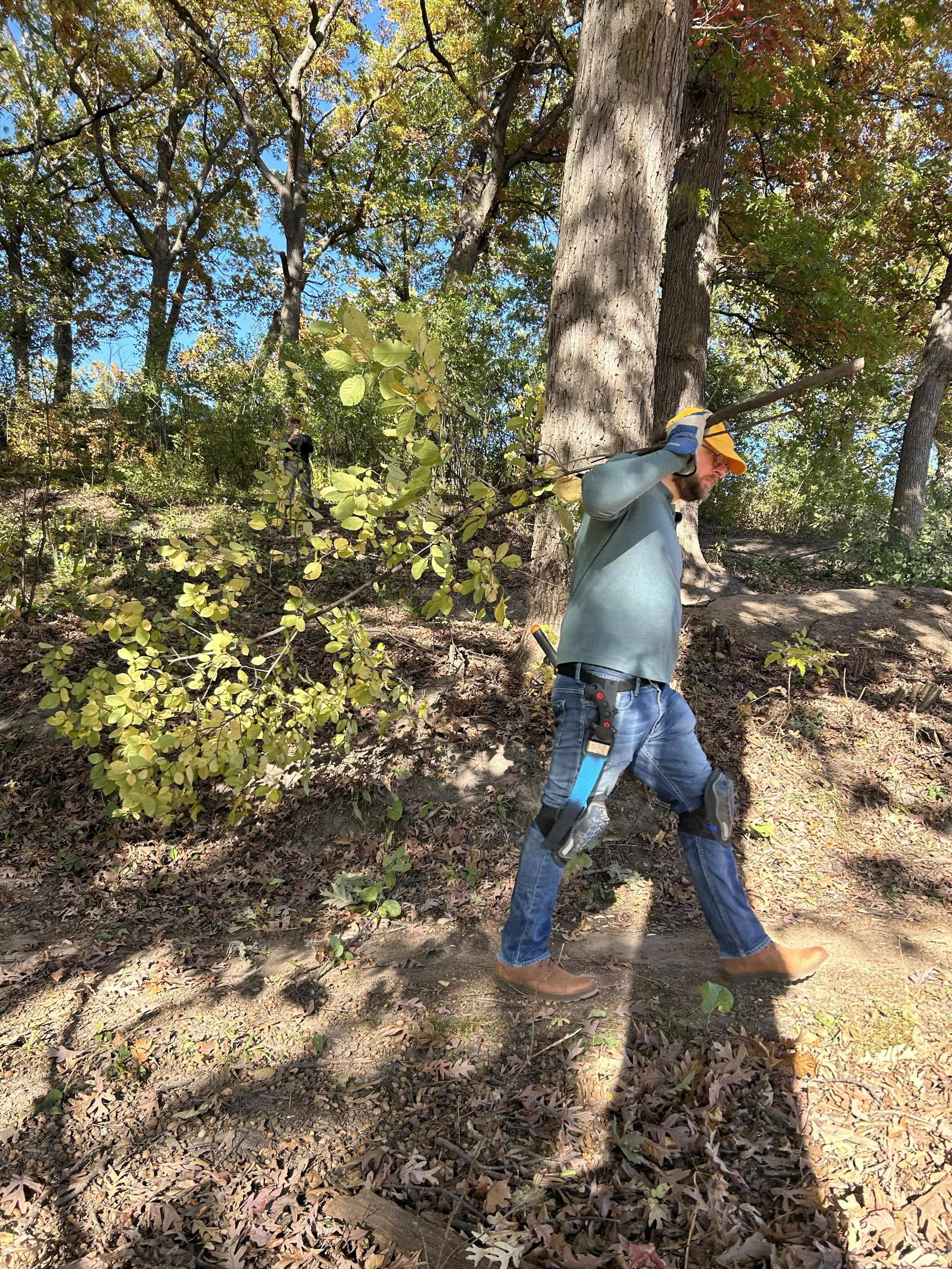 Man in work clothes carrying branches over his shoulder through the woods.