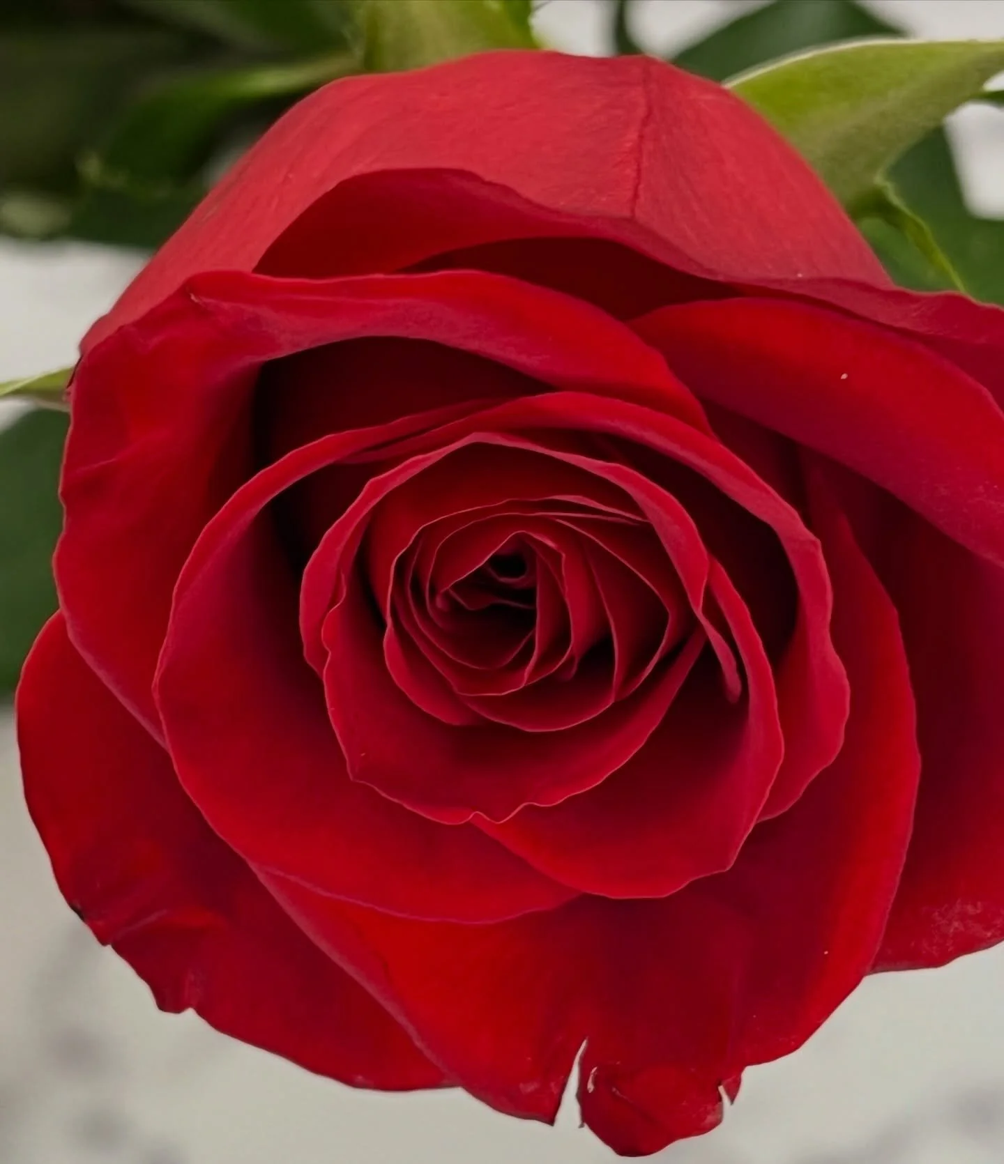 To all the gals who are single this Valentine&rsquo;s&mdash;create a self-care day to celebrate you.🌹
You are unique, beautiful and deserve to be cherished this year and always. 🤍

Taking a little time to reflect on St. Valentine and the deeper mea