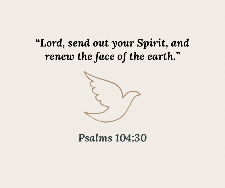 Happy Pentecost Sunday! 🤍

Come, Holy Spirit,
fill the hearts of Your faithful
and kindle in them the fire of Your love. 🔥🕊️

May His light radiate through us today and always. ✨