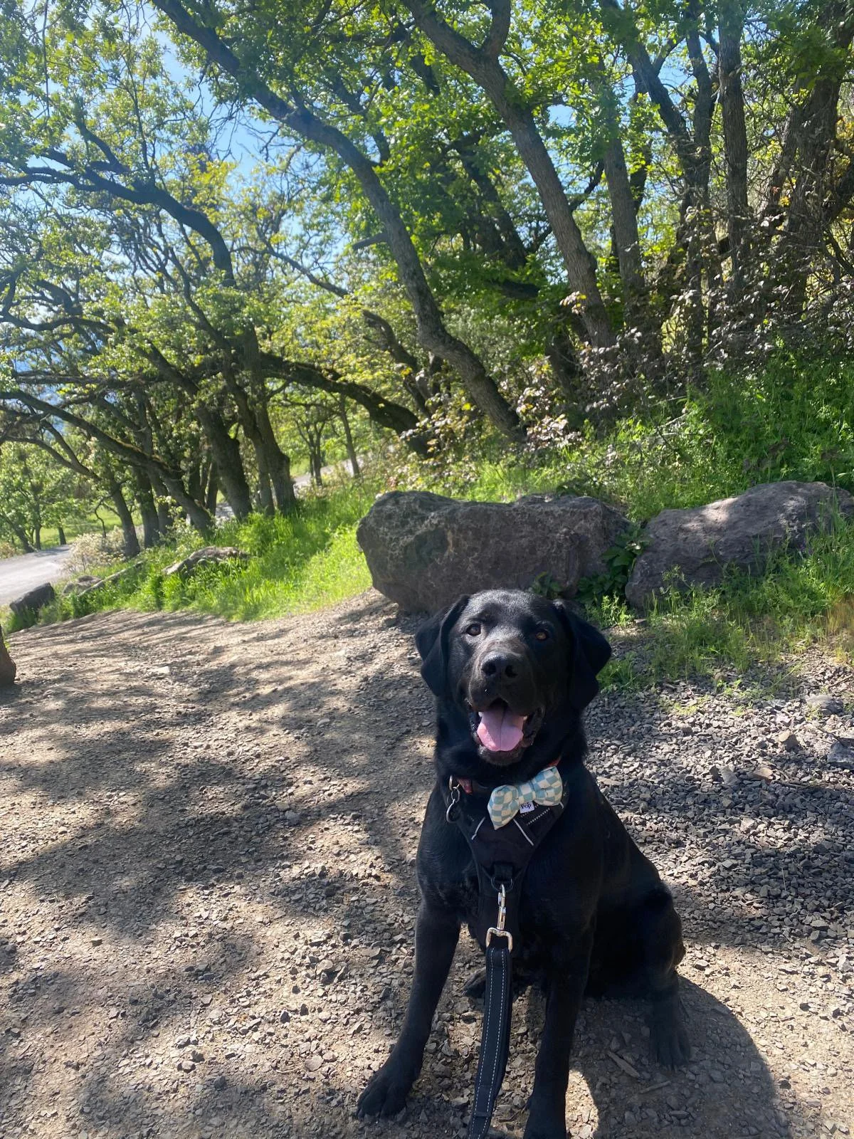 PHOTO-2025-04-30-17-35-32 8.jpeg