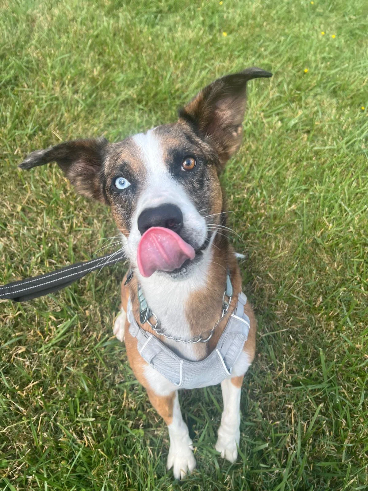 PHOTO-2025-05-20-12-13-41 8.jpeg