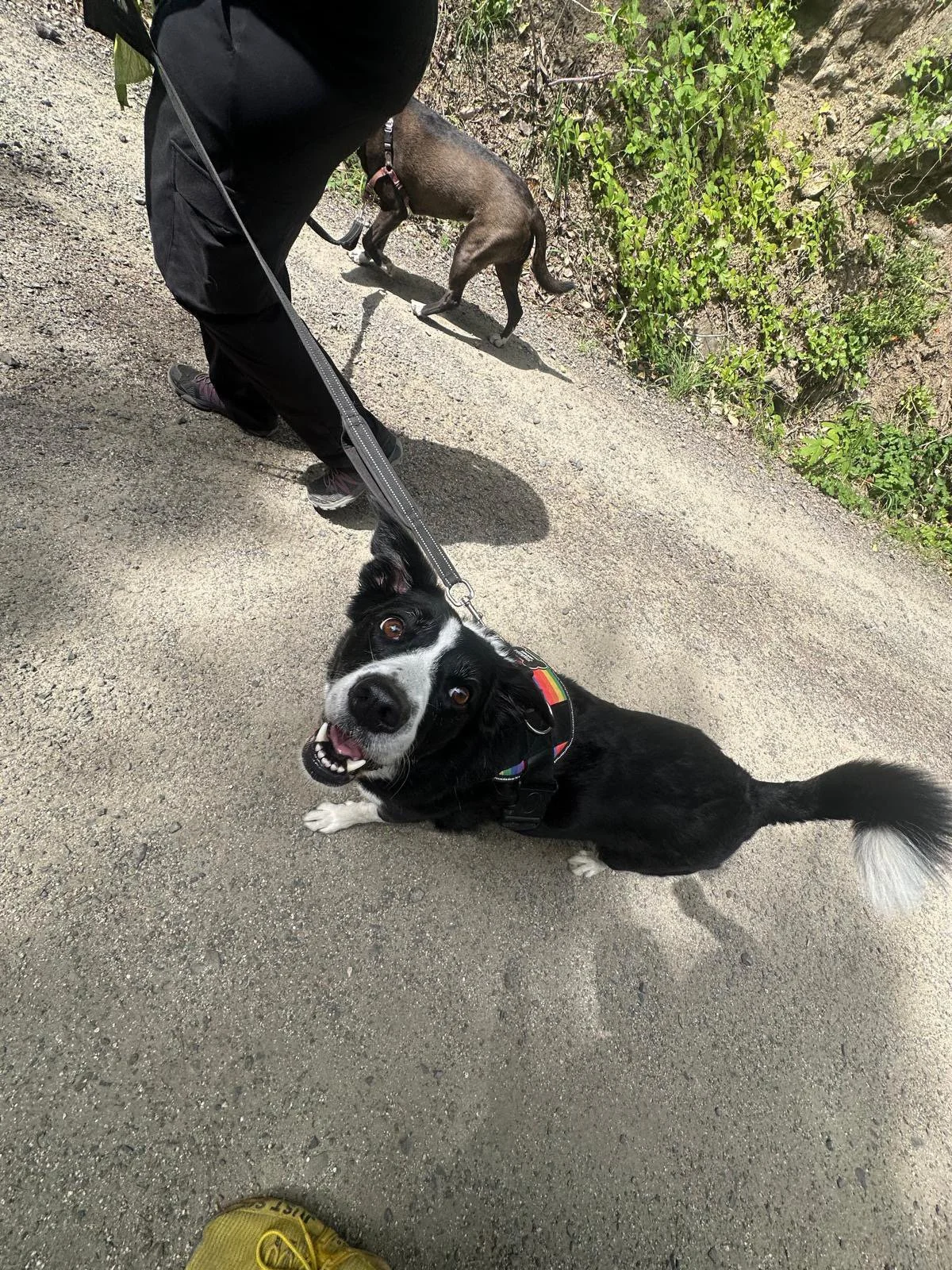 PHOTO-2025-06-06-17-26-22 5.jpeg