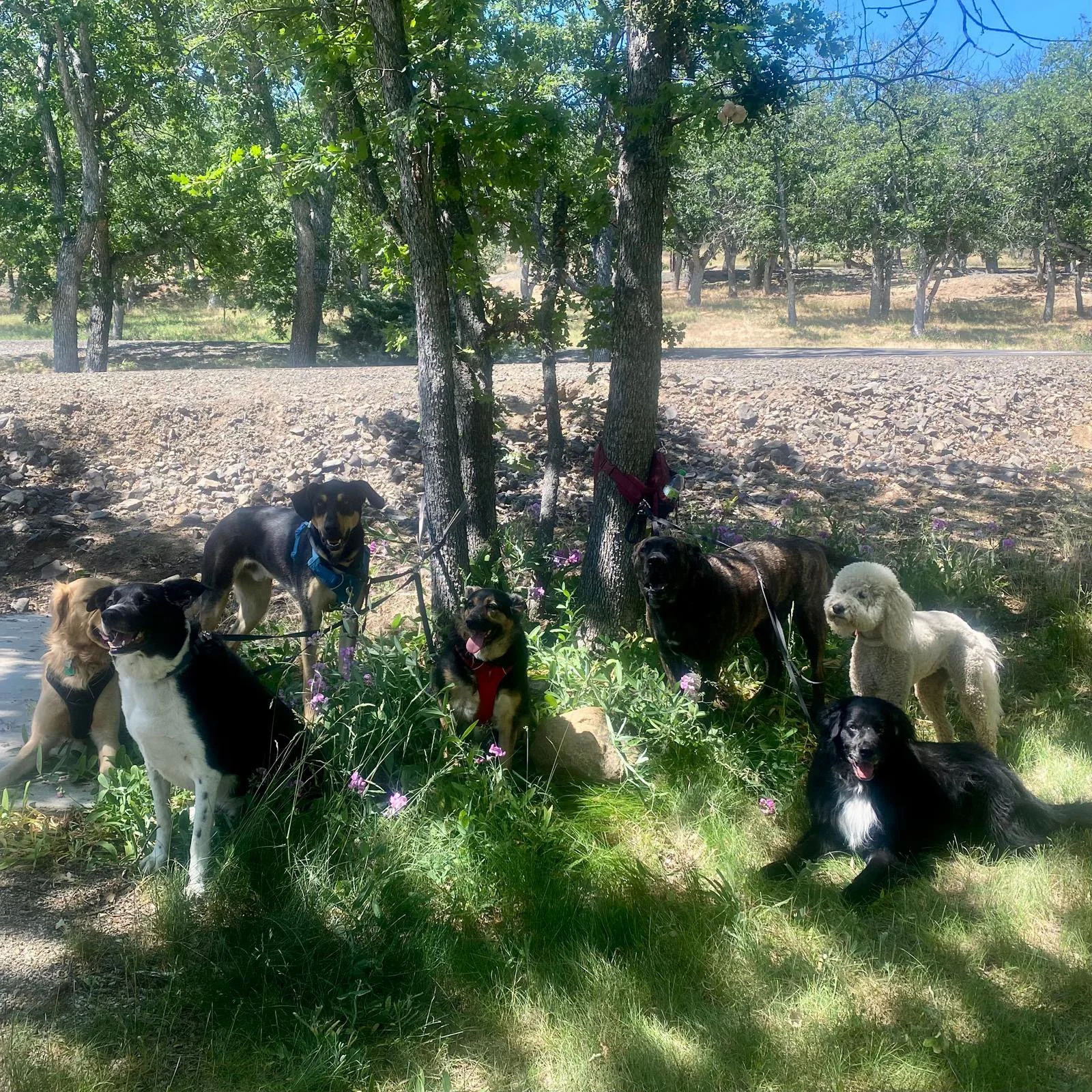 PHOTO-2025-06-11-12-23-31 2.jpeg