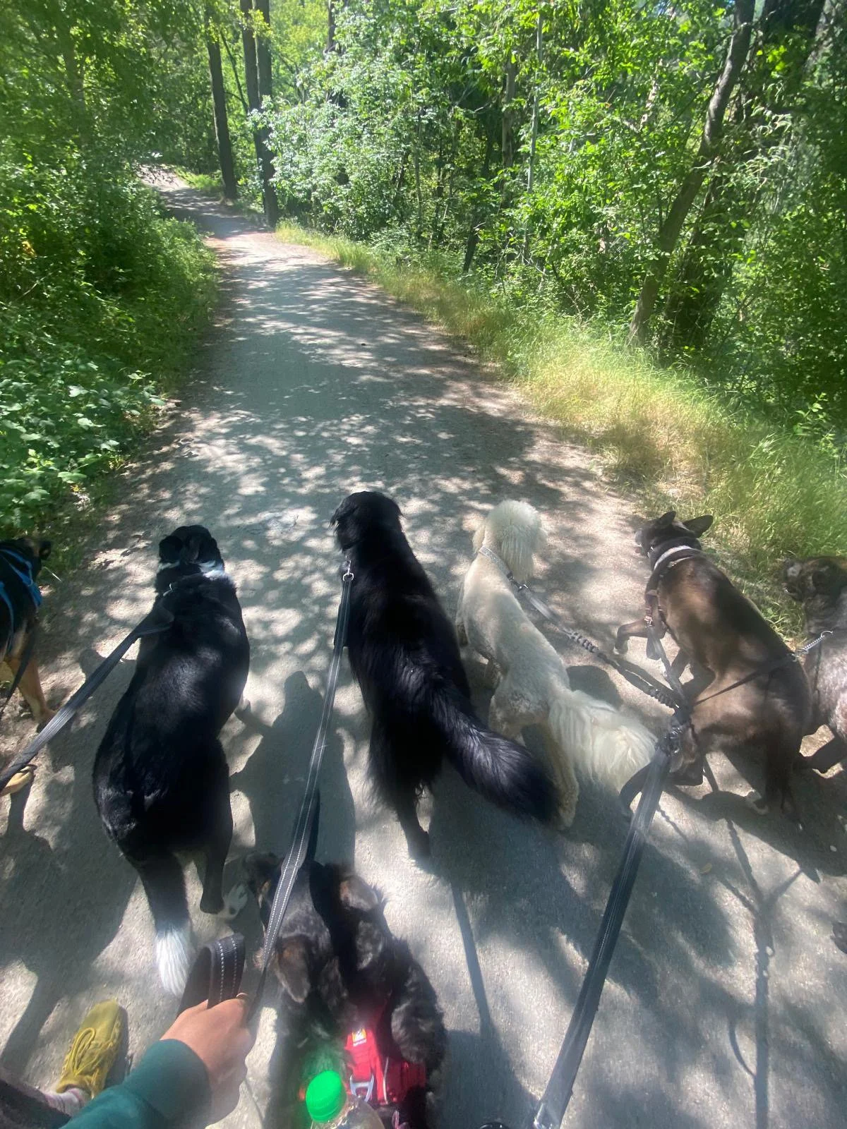 PHOTO-2025-06-04-16-48-48 20.jpeg