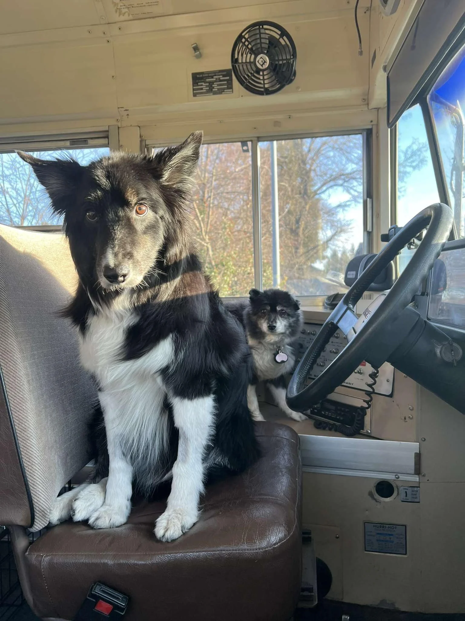 Bug and Sammy in Bus.jpeg