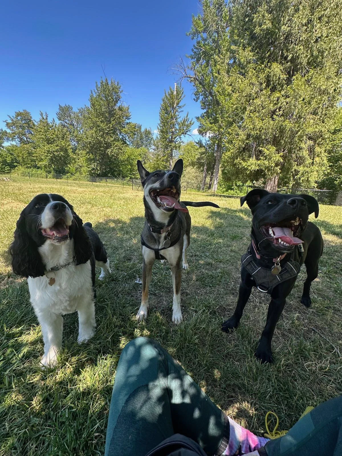 PHOTO-2025-05-22-16-51-35 9.jpeg