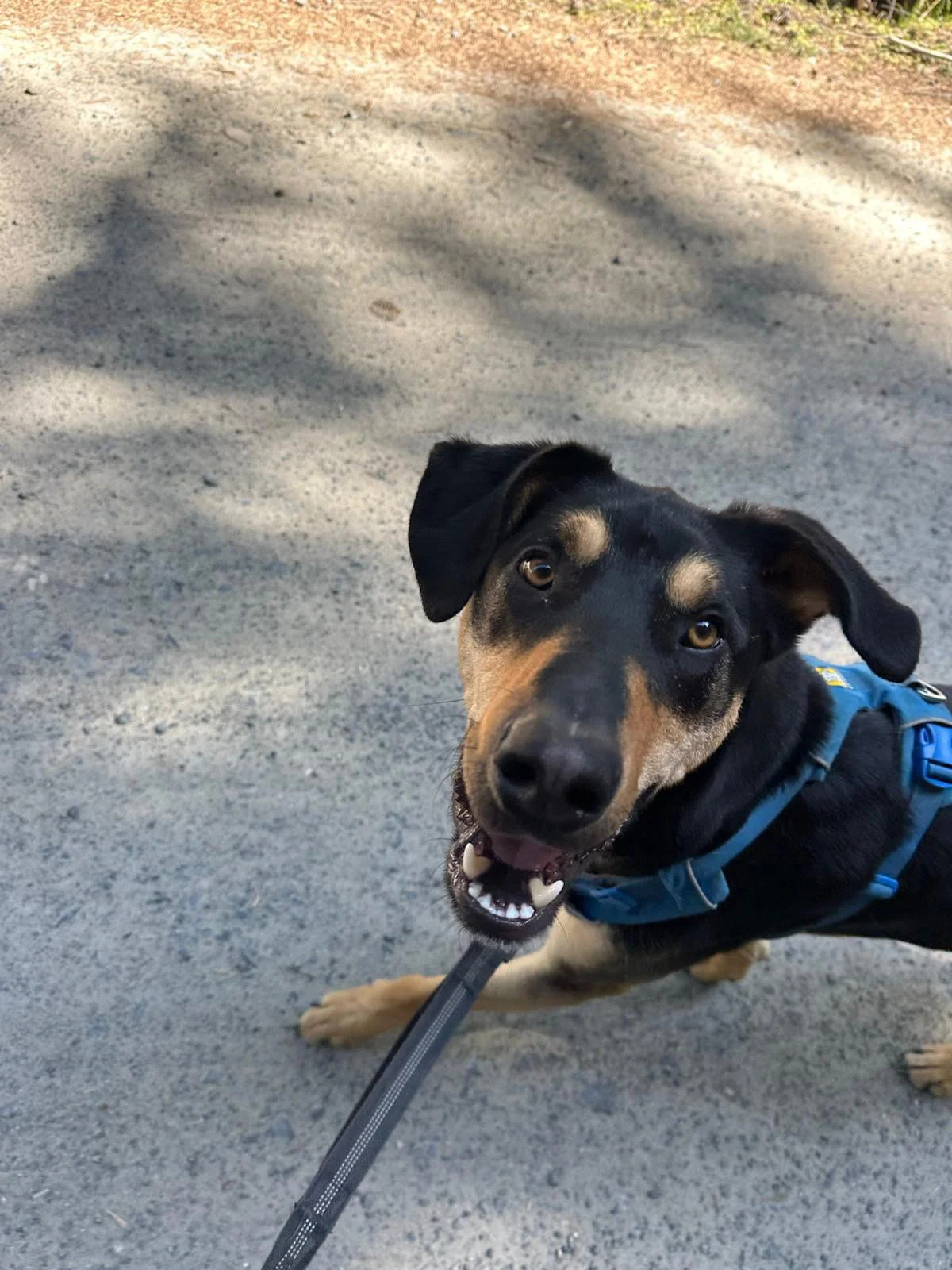 PHOTO-2025-04-30-17-33-10 5.jpeg