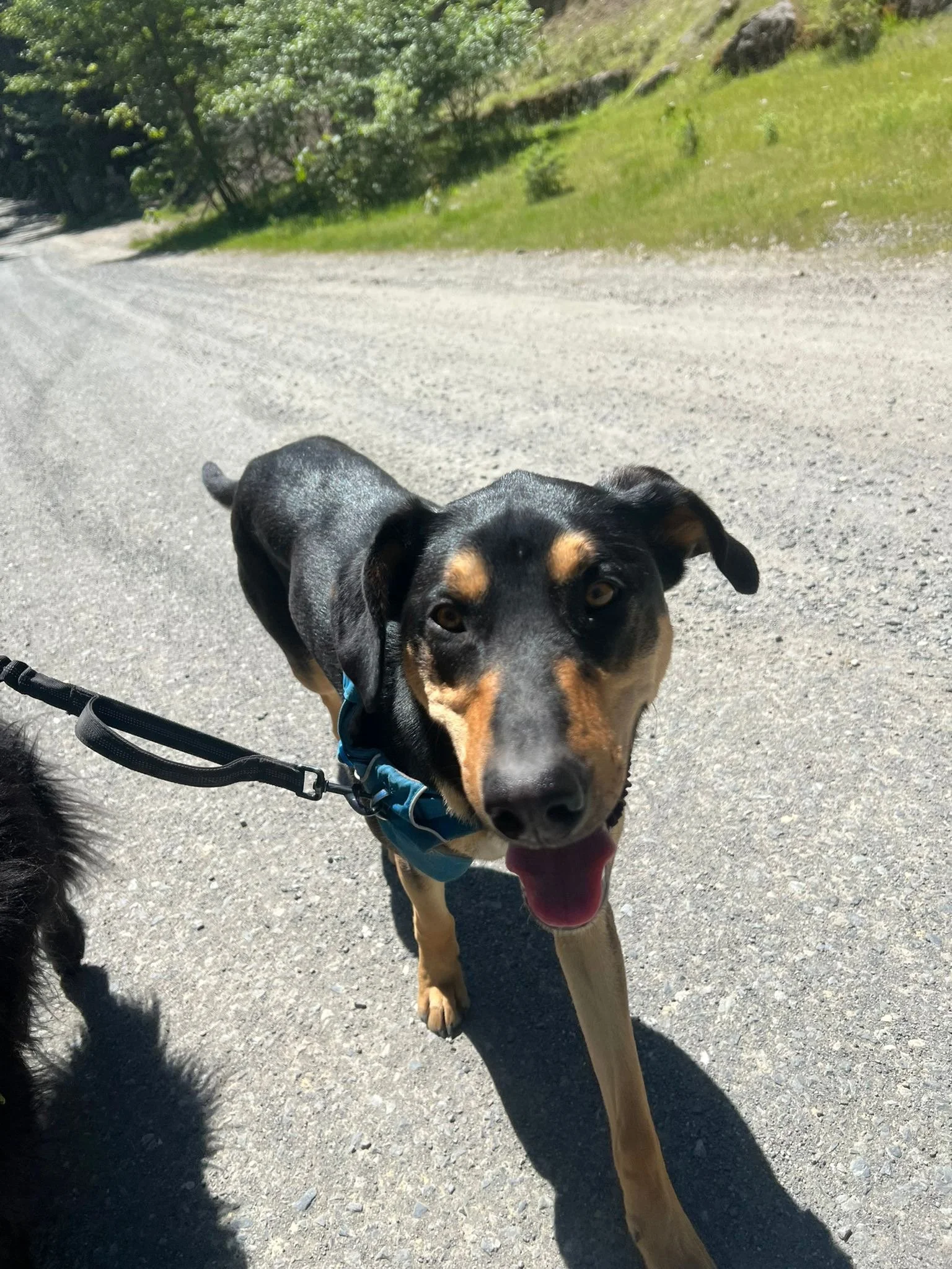 PHOTO-2025-05-07-16-46-33 8.jpeg