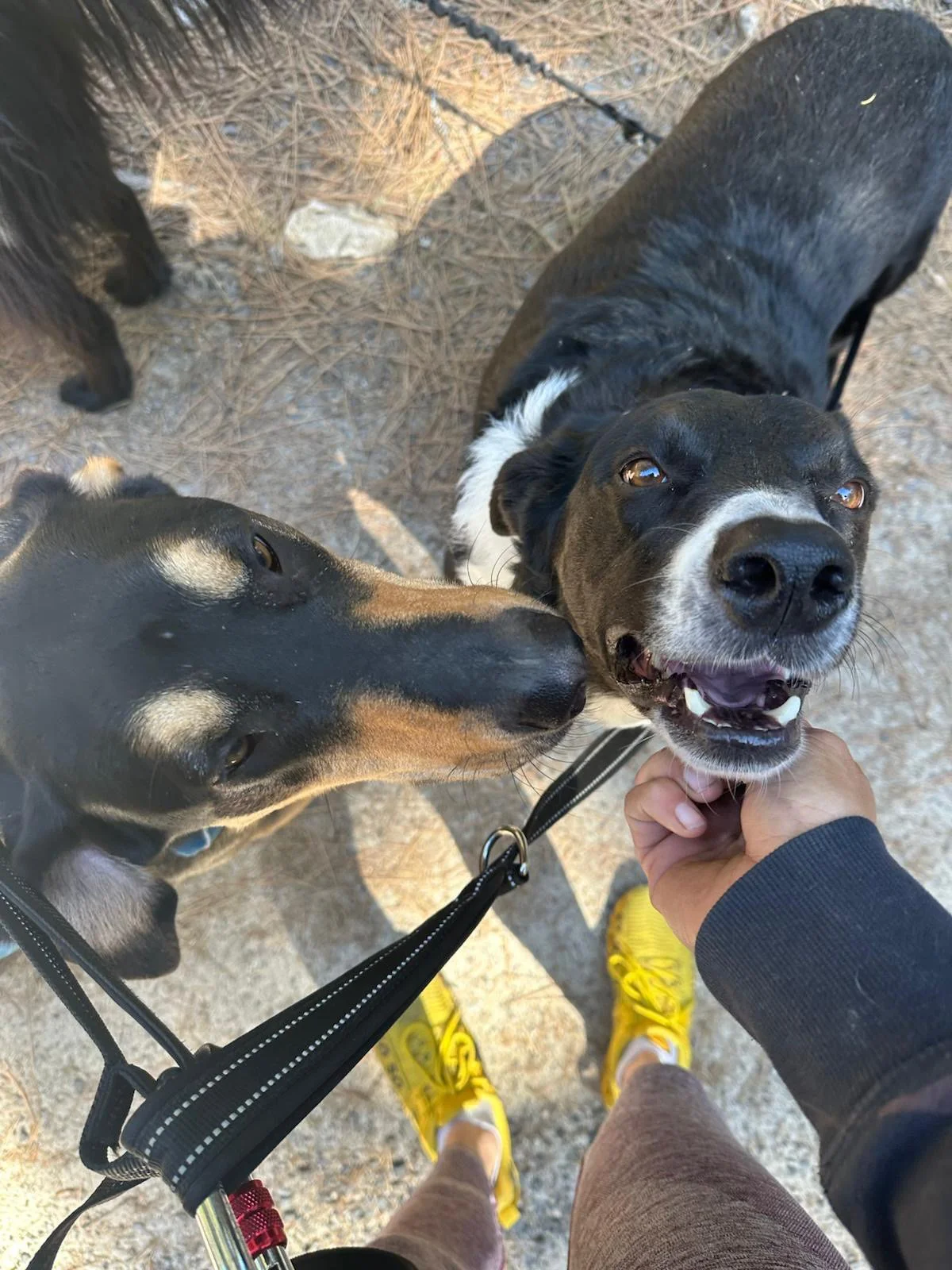 PHOTO-2025-04-30-17-33-10 7.jpeg