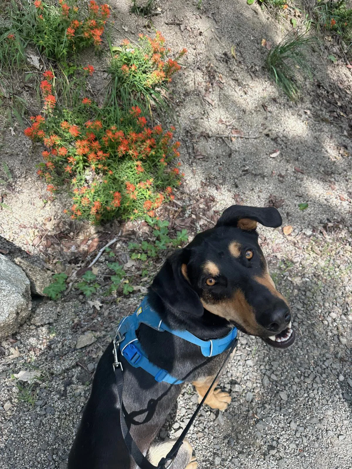 PHOTO-2025-06-06-17-26-22 2.jpeg