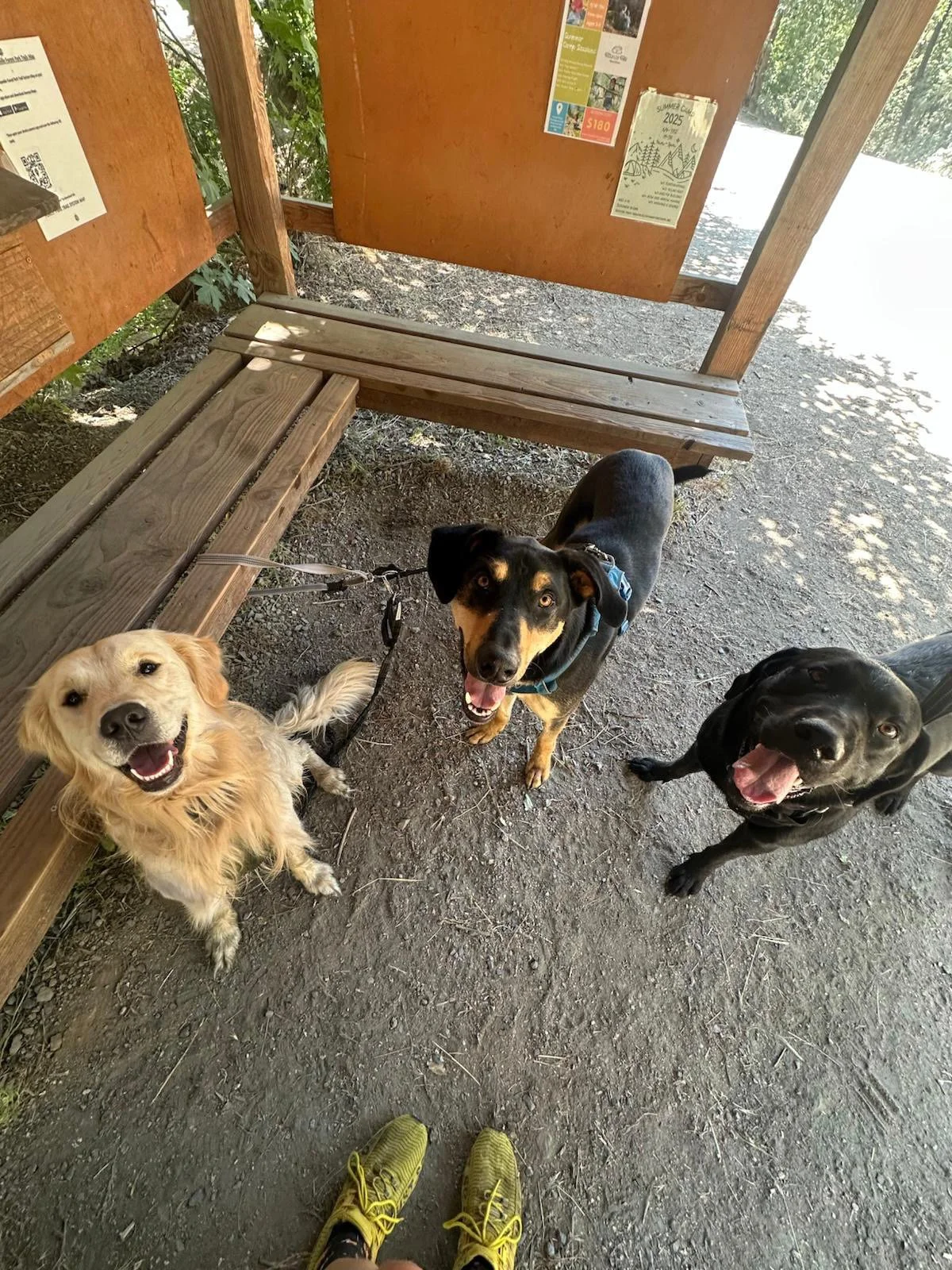 PHOTO-2025-06-09-21-50-24 3.jpeg