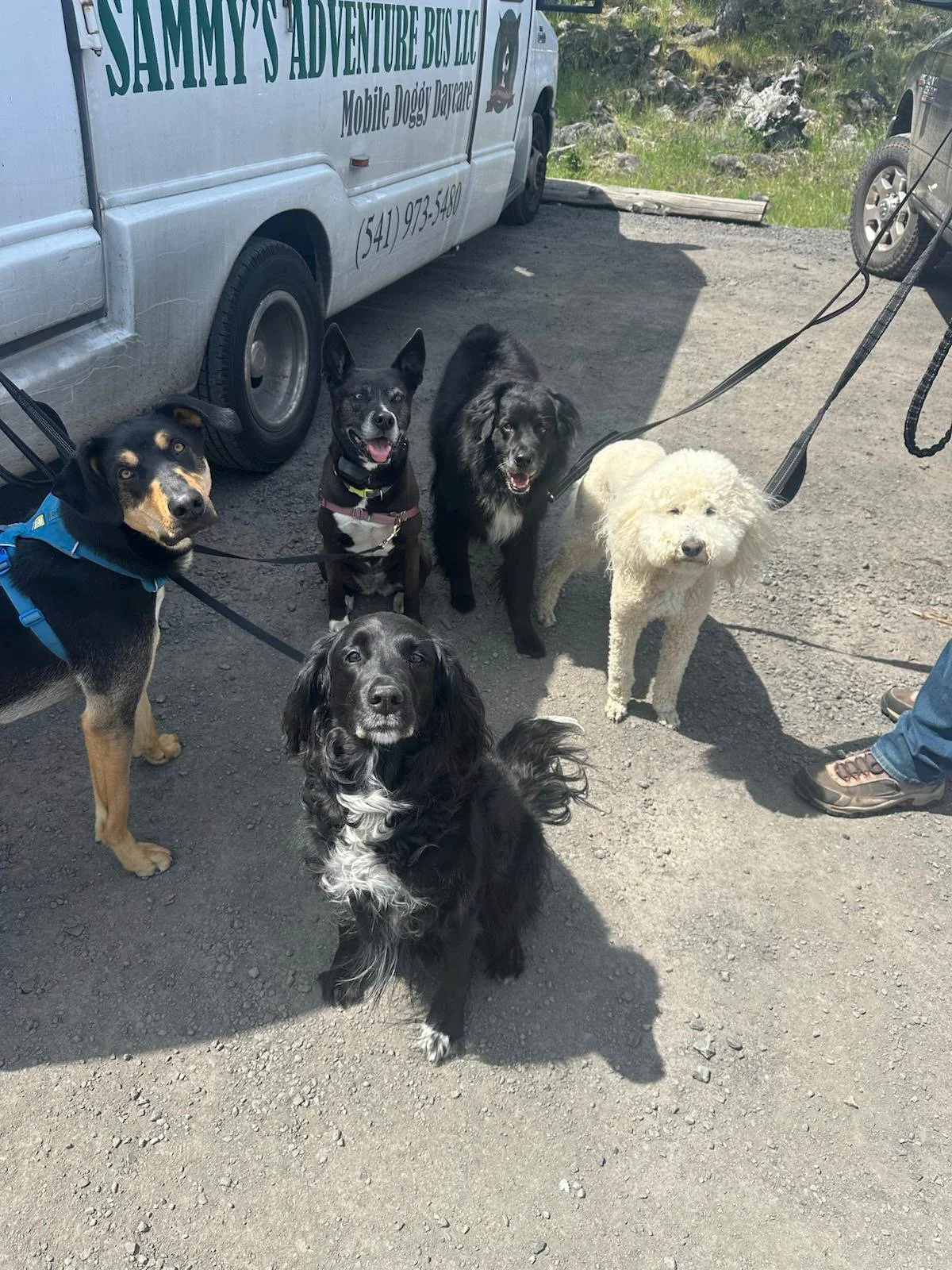 PHOTO-2025-05-16-16-07-22 4.jpeg