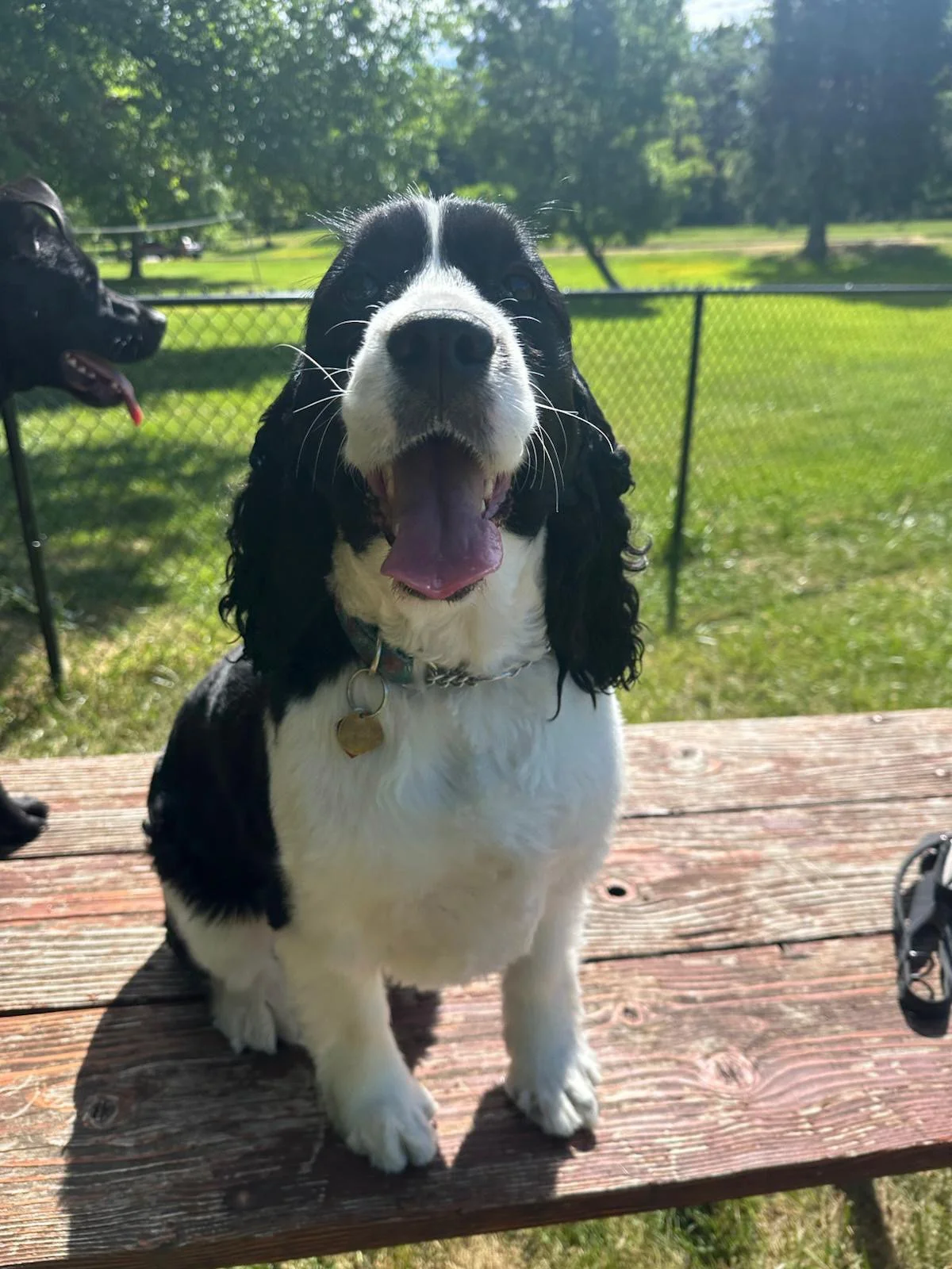 PHOTO-2025-05-22-16-51-31 2.jpeg