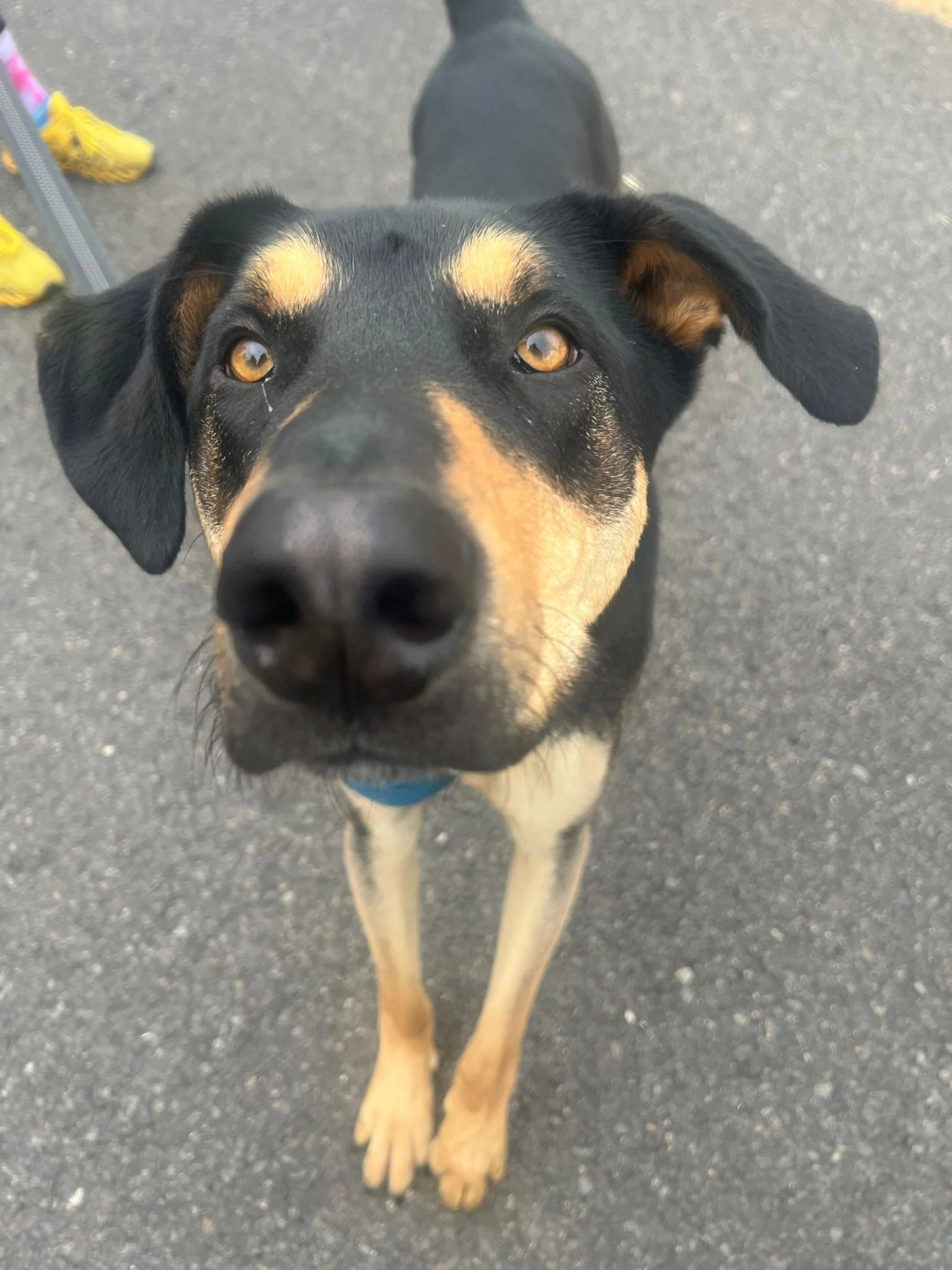 PHOTO-2025-05-15-15-39-10 7.jpeg