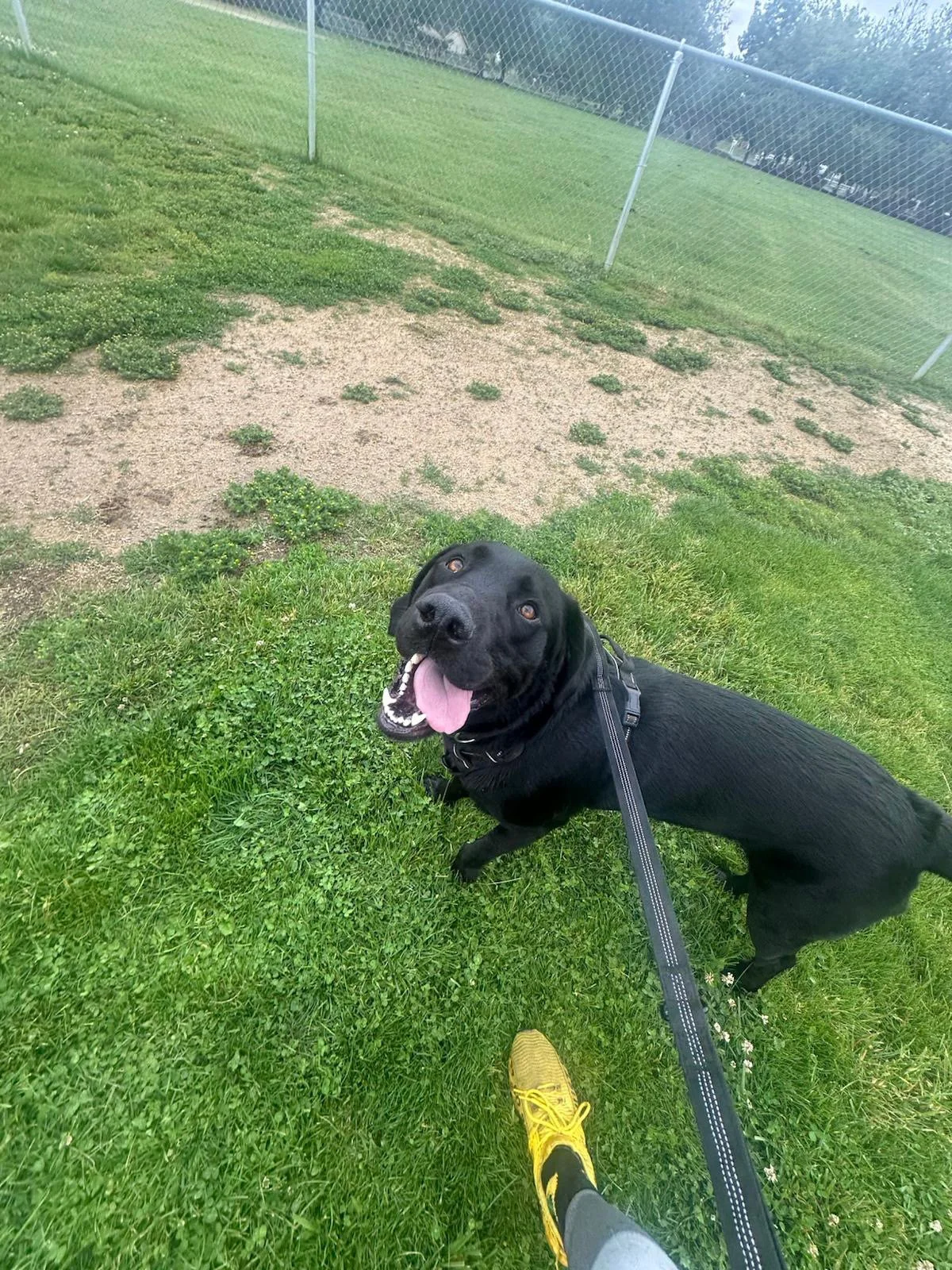 PHOTO-2025-05-19-16-47-23 6.jpeg