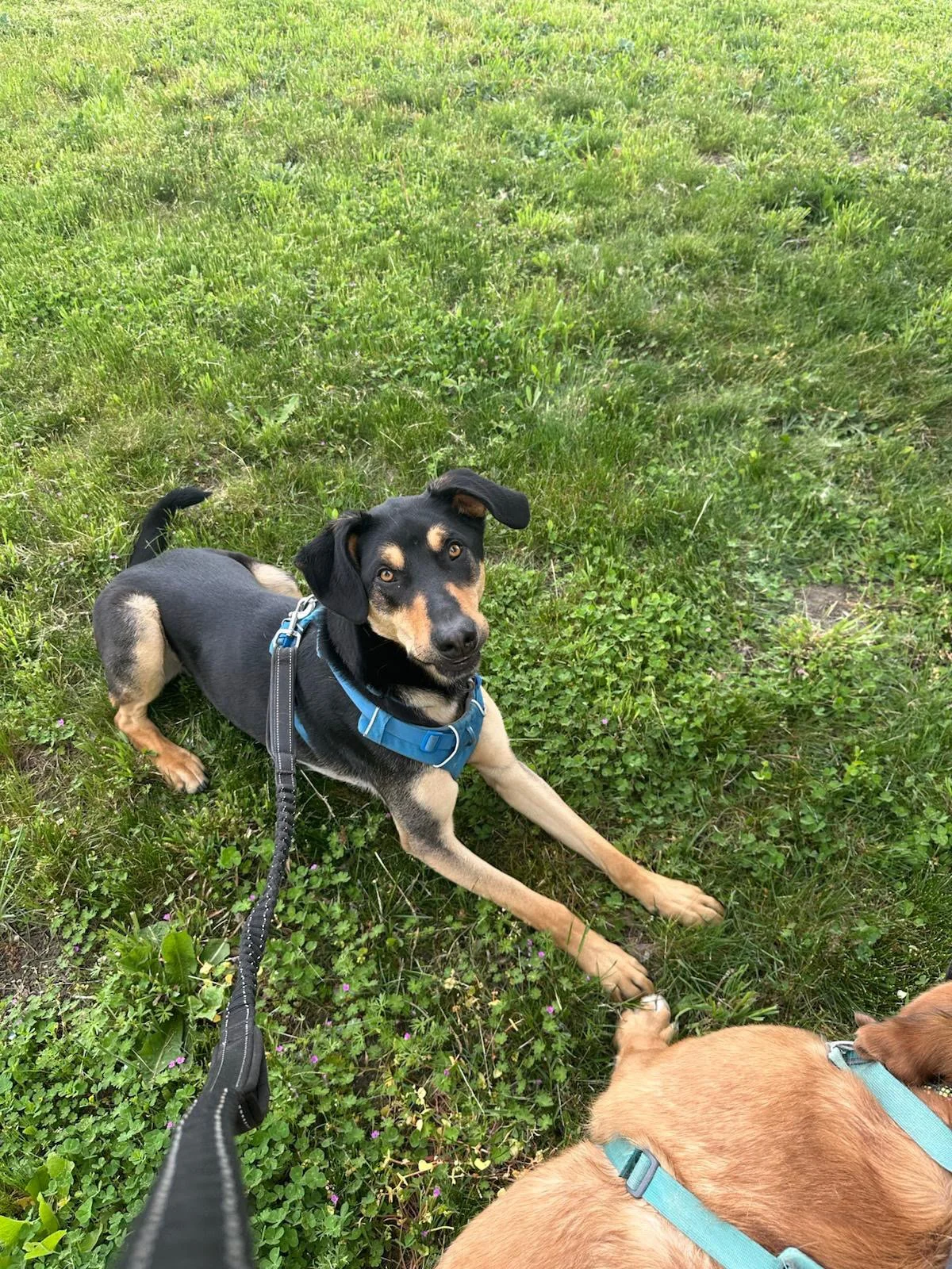 PHOTO-2025-04-30-17-33-45 8.jpeg