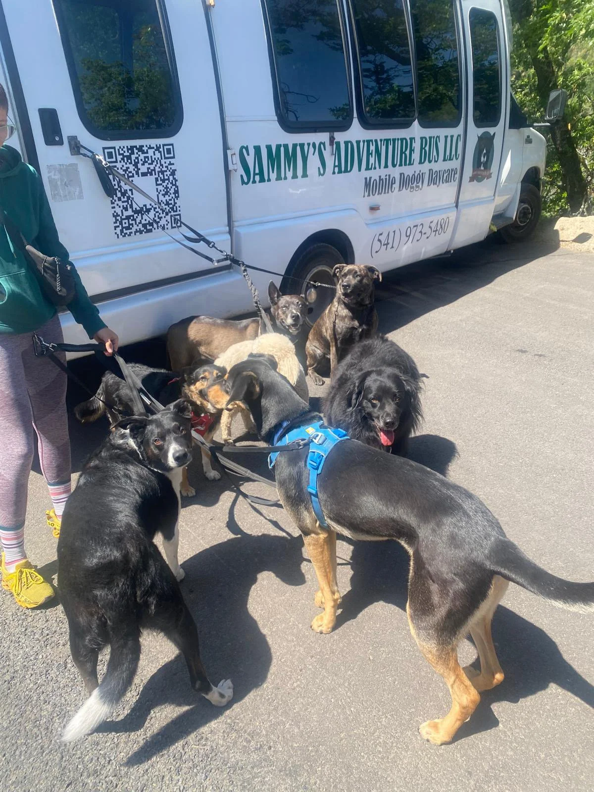 PHOTO-2025-06-04-16-48-49 8.jpeg