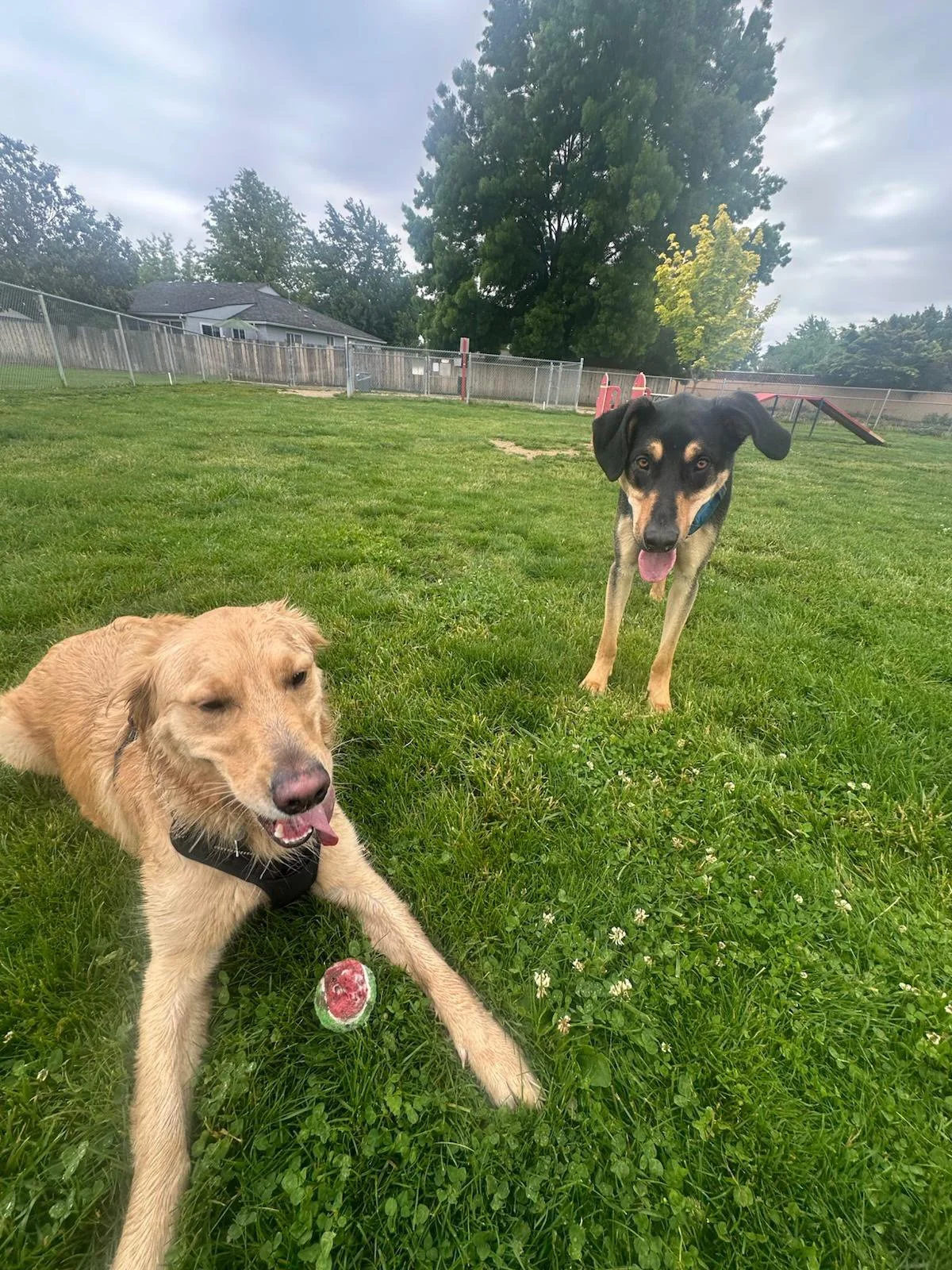 PHOTO-2025-05-19-16-47-23 4.jpeg