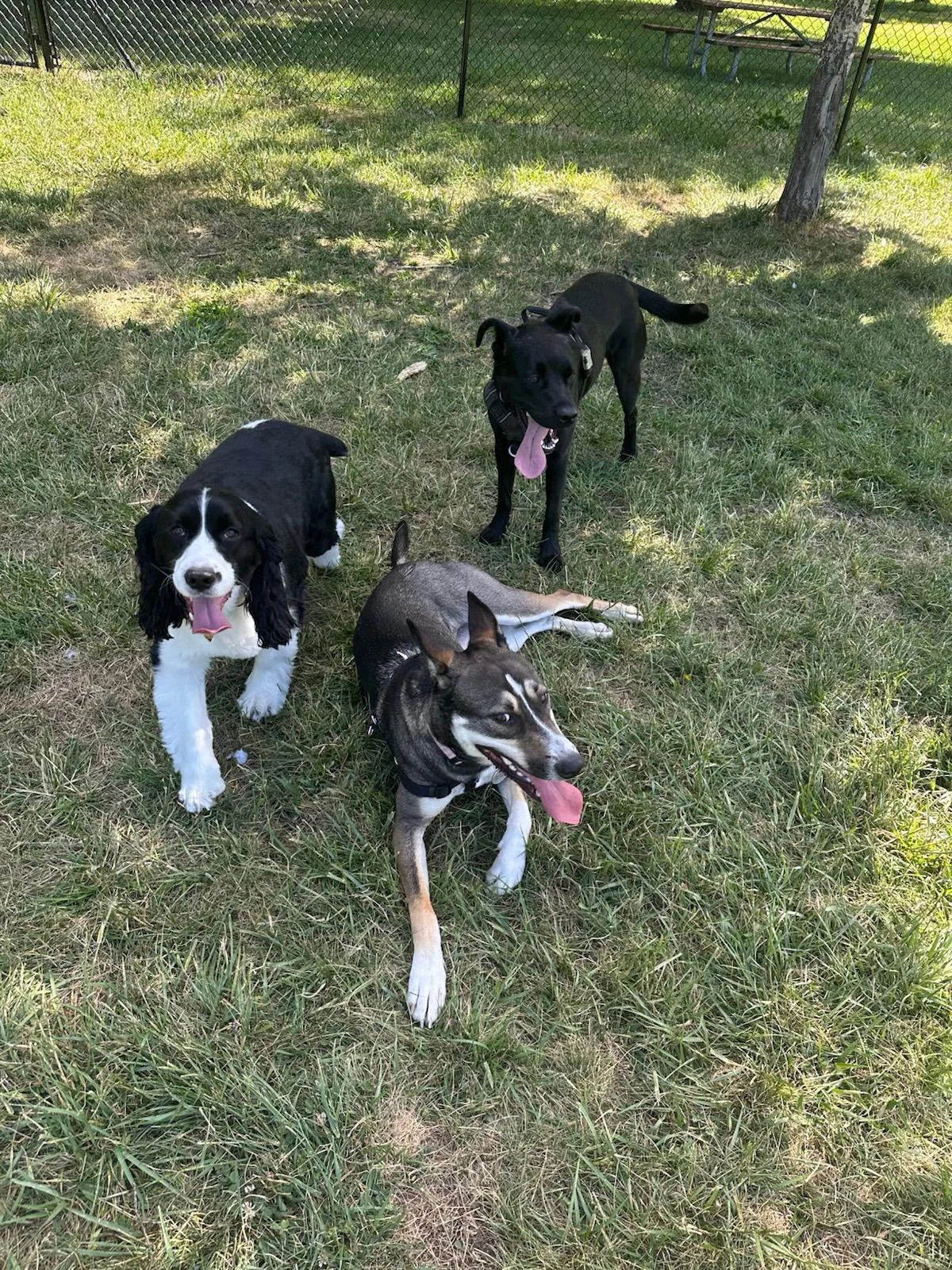 PHOTO-2025-05-22-16-51-35 8.jpeg